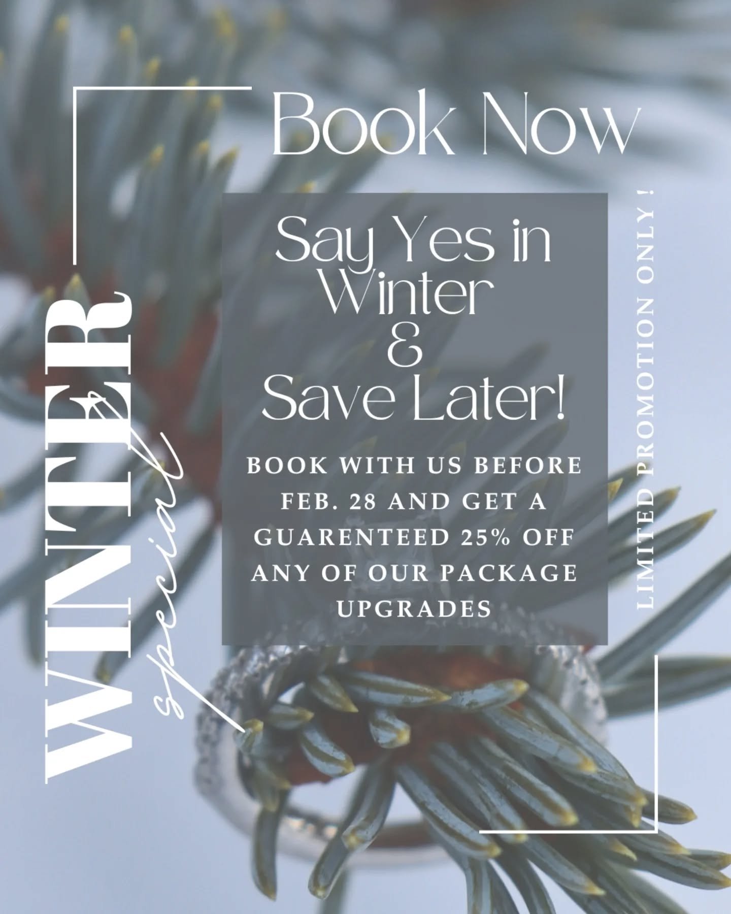 💍 Say Yes in Winter &amp; Save Later!
Book with us before Feb. 28 and get a guarenteed 25% off any of our package upgrades.
