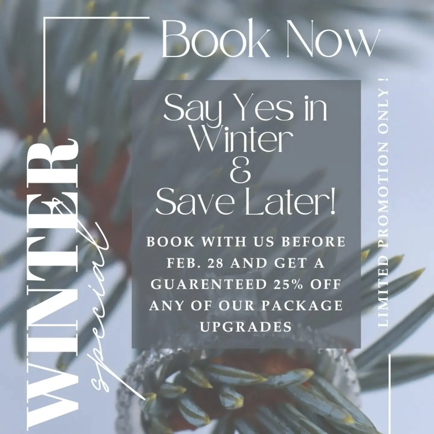 💍 Say Yes in Winter &amp; Save Later!
Book with us before Feb. 28 and get a guaranteed 25% off any of our package upgrades.