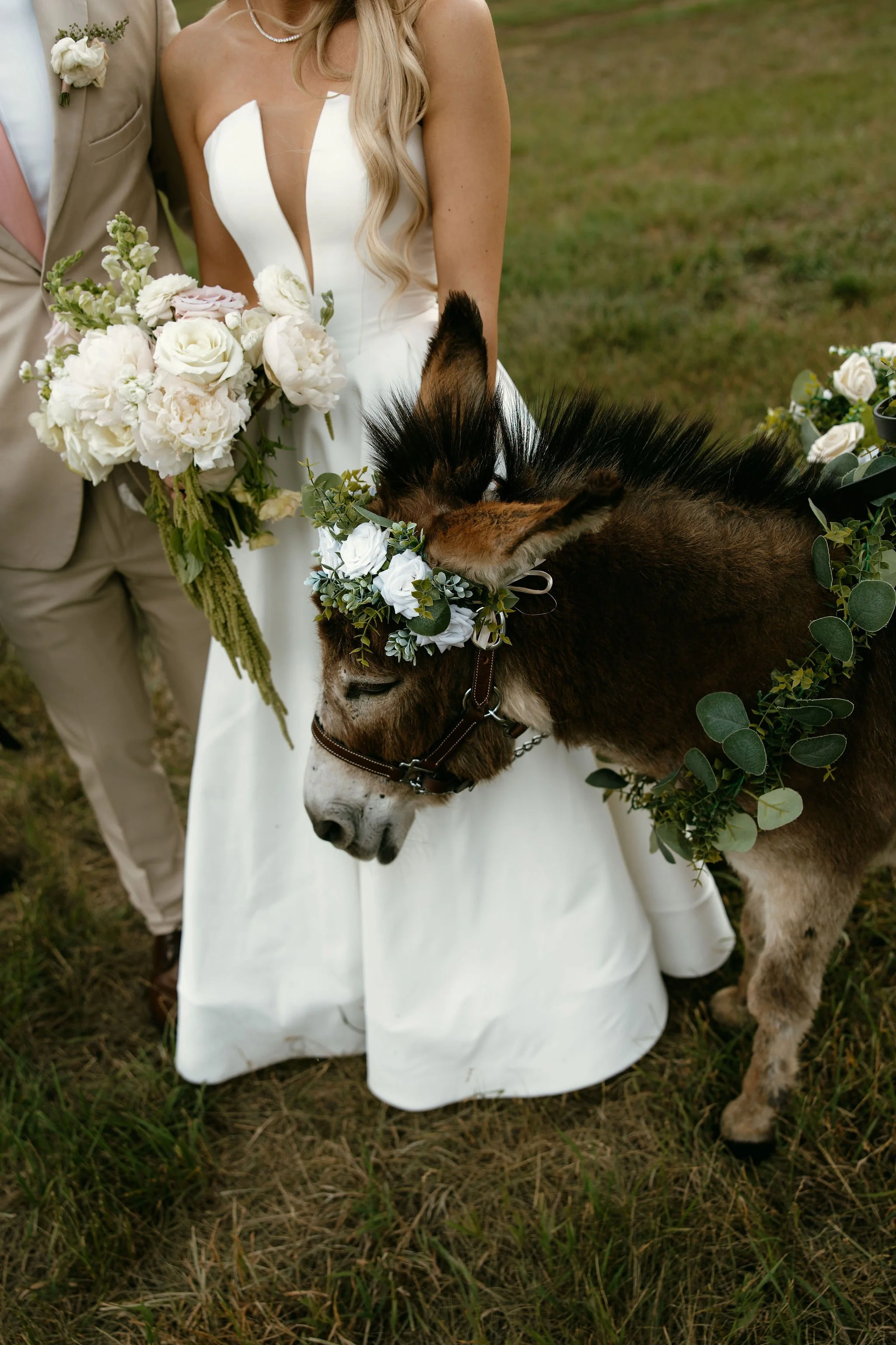 AbigailAnnePhotography-4110.jpg
