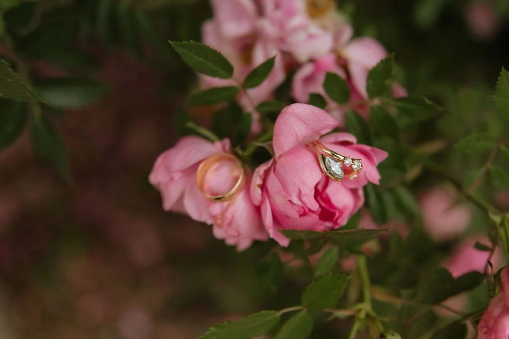 TheEvergreenWedding-KimryandBlaine-7143.jpg