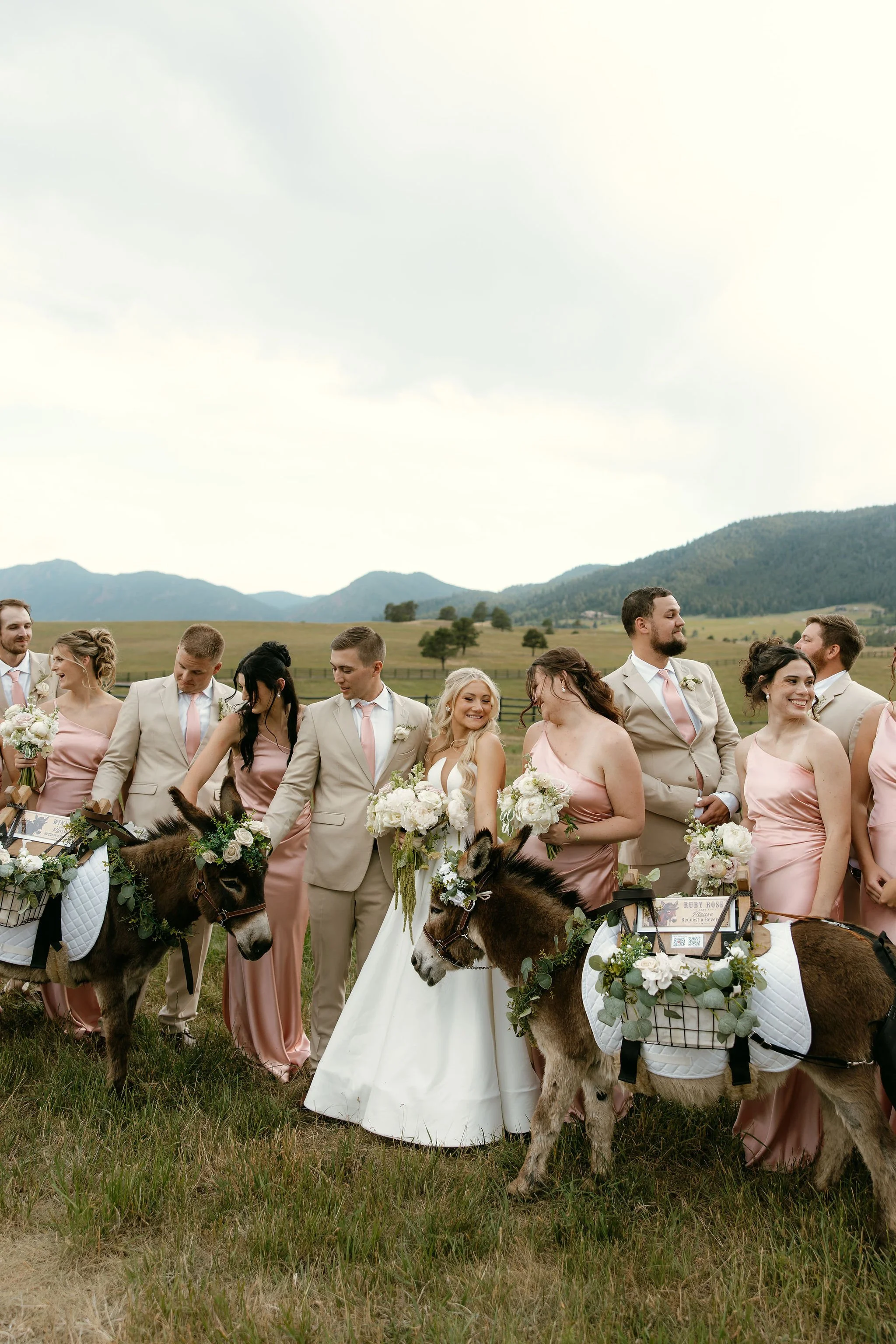 AbigailAnnePhotography-4037.jpg