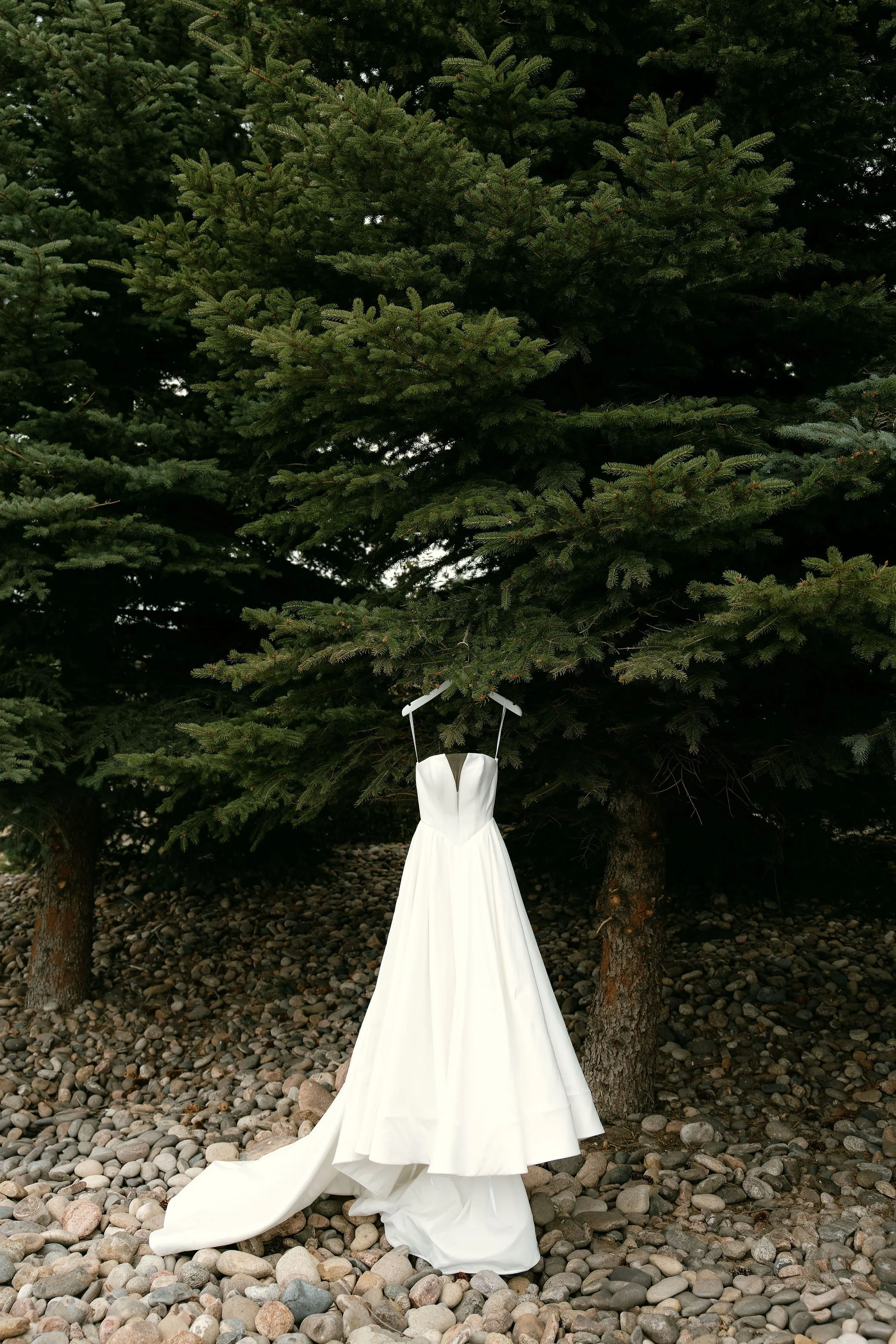 AbigailAnnePhotography-6229.jpg