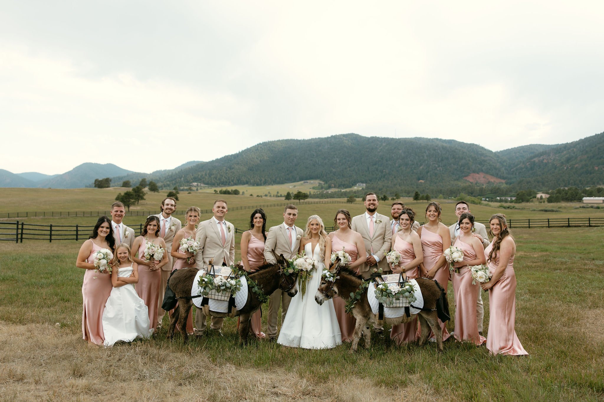 AbigailAnnePhotography-4010.jpg