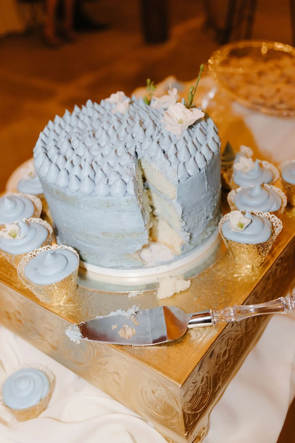 TheEvergreenWedding-KimryandBlaine-7794.jpg