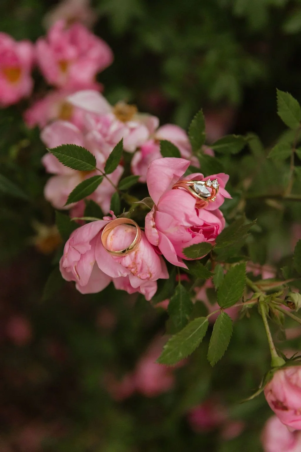 TheEvergreenWedding-KimryandBlaine-7144.jpg