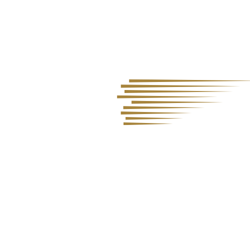 Contact us for a quote or more information — The Fast Guy