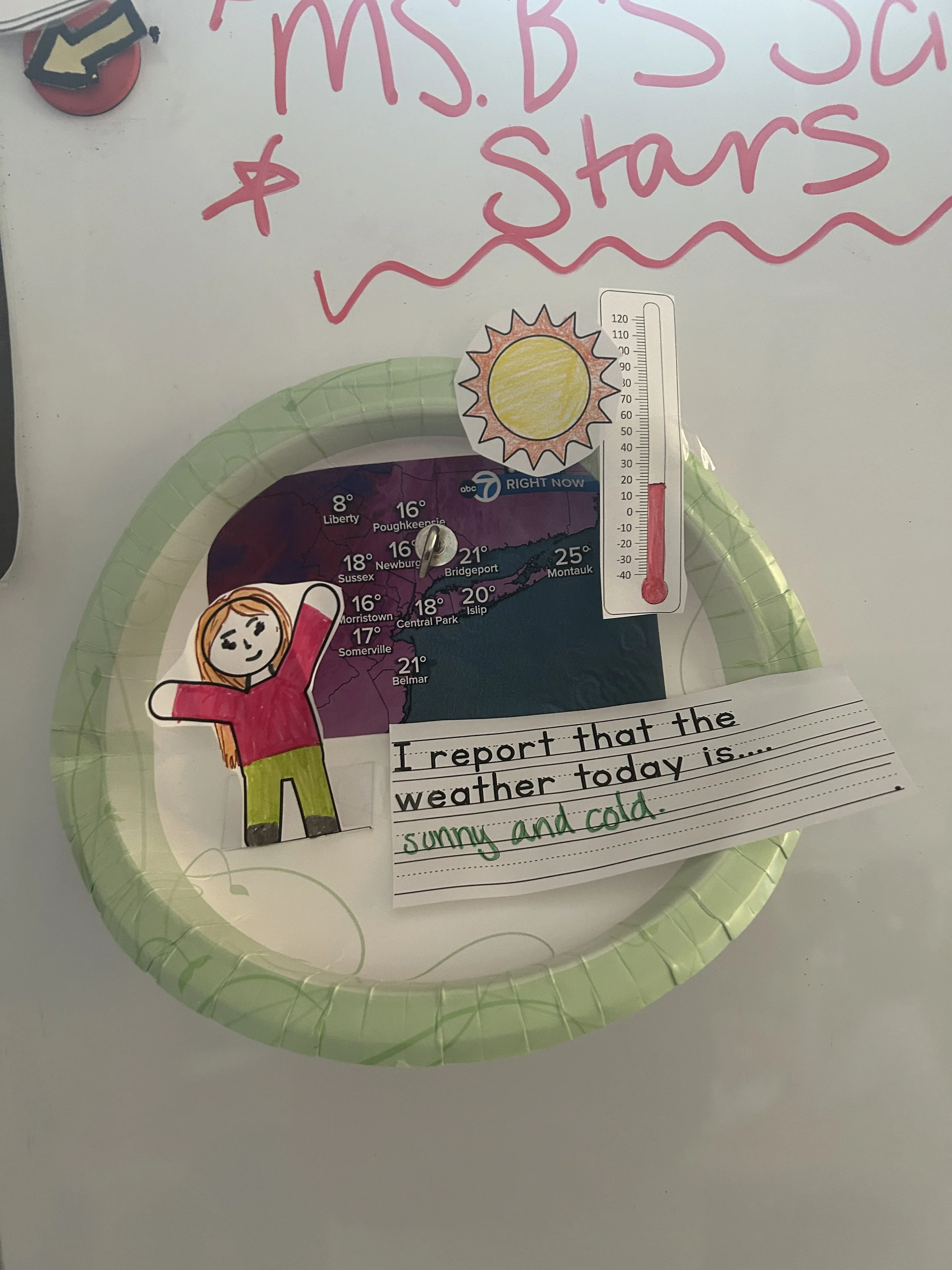 First Grade Meteorologist Project (with Printable Freebie!)