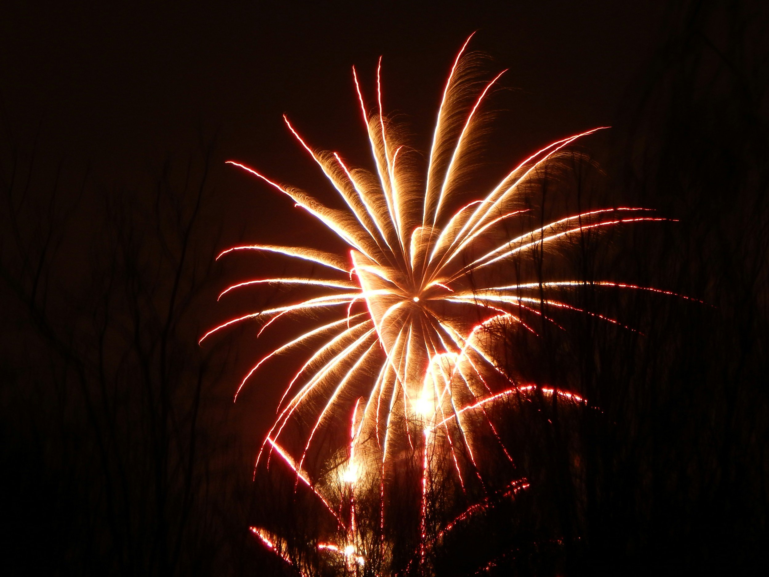 Fireworks Viewing on the Hill