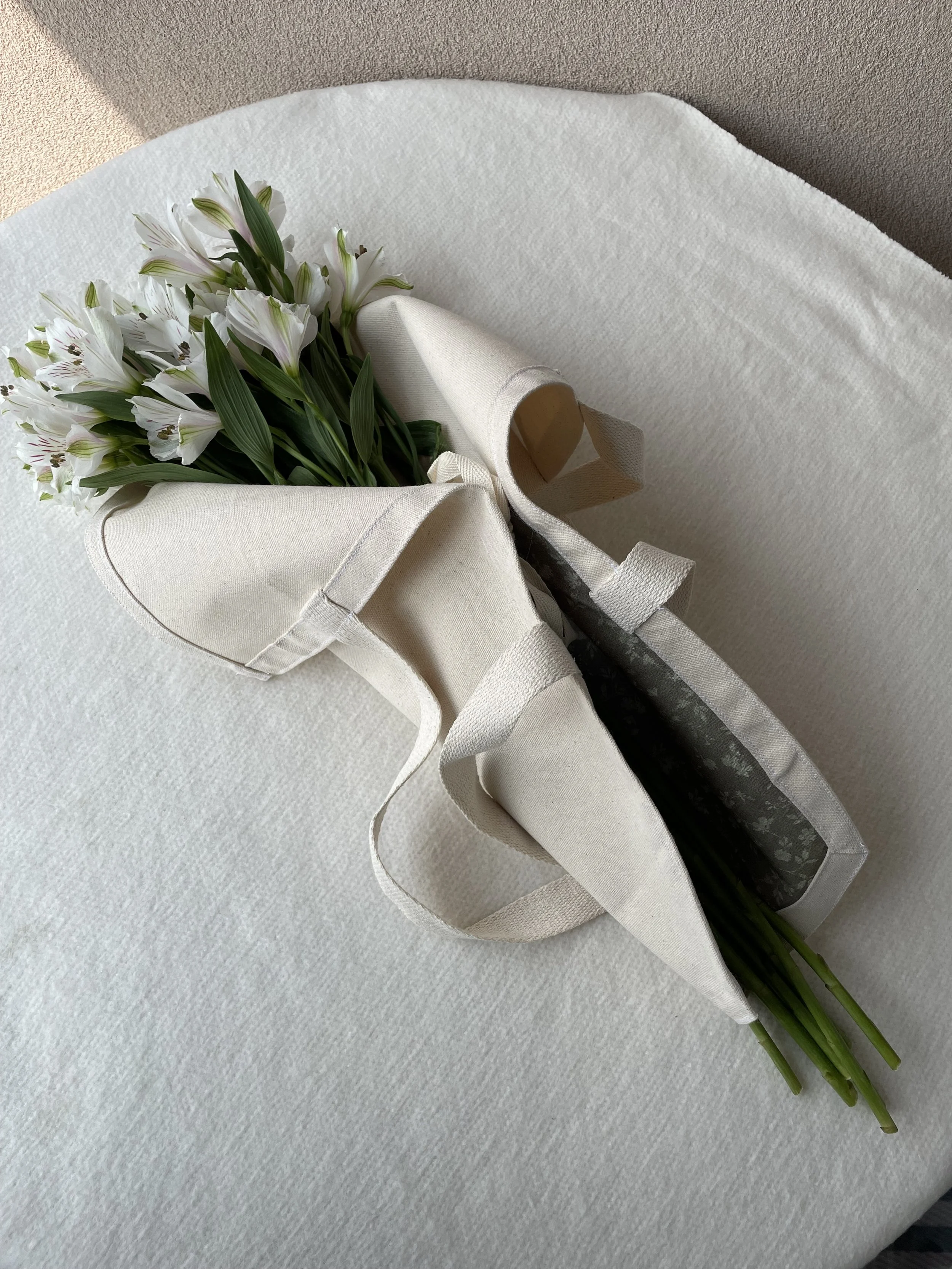 V1 Folio