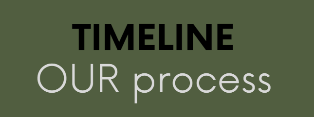 Green background with the words 'TIMELINE OUR process' in large black and white text