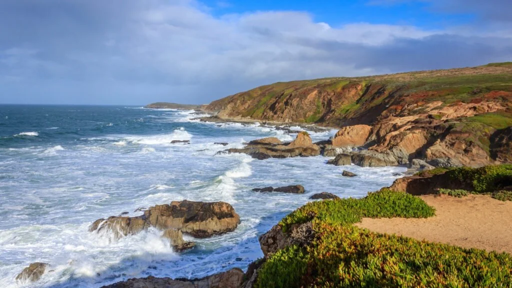 Best Day Trips From San Francisco