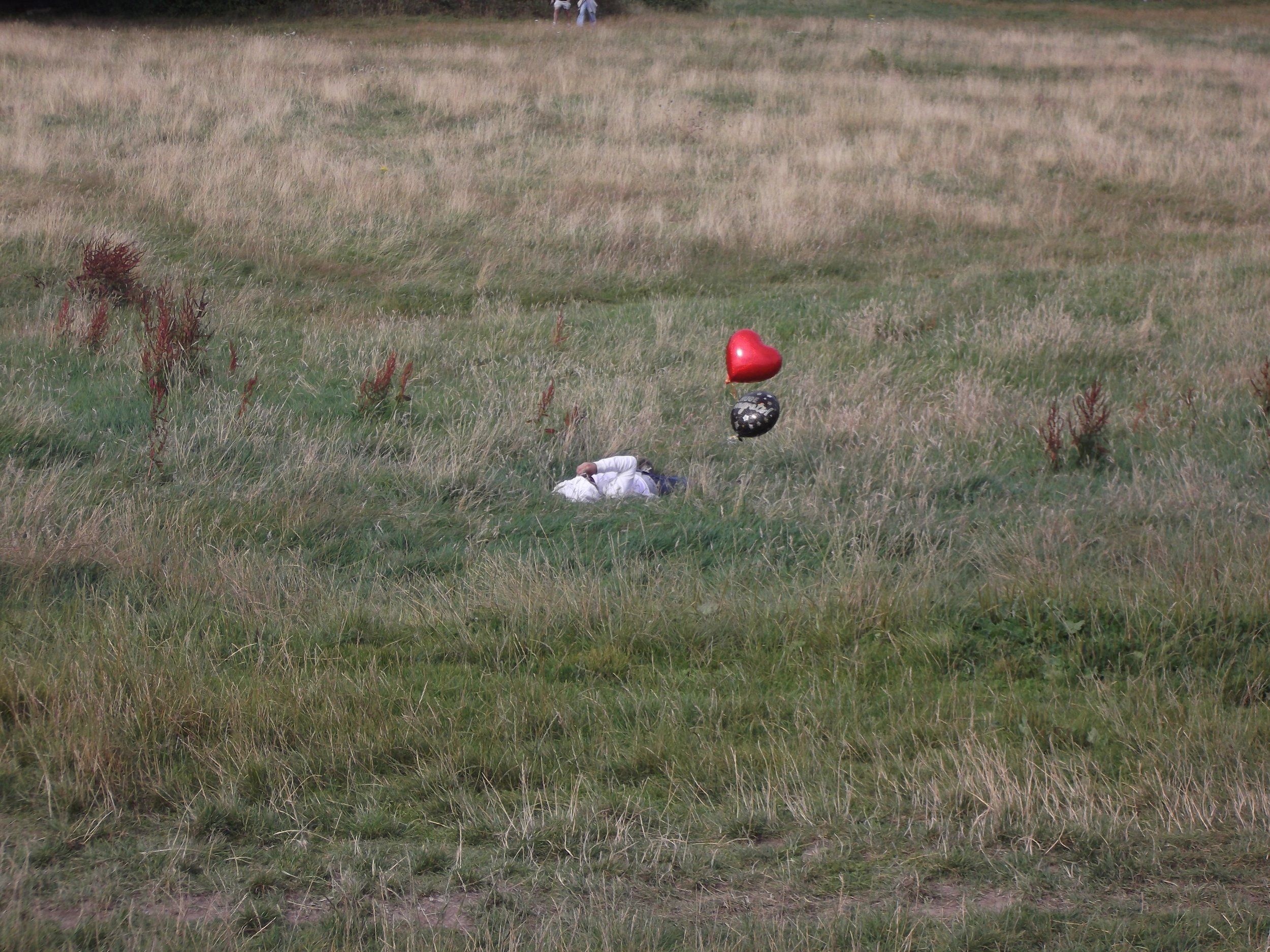 SELECTDSCF1816.JPG