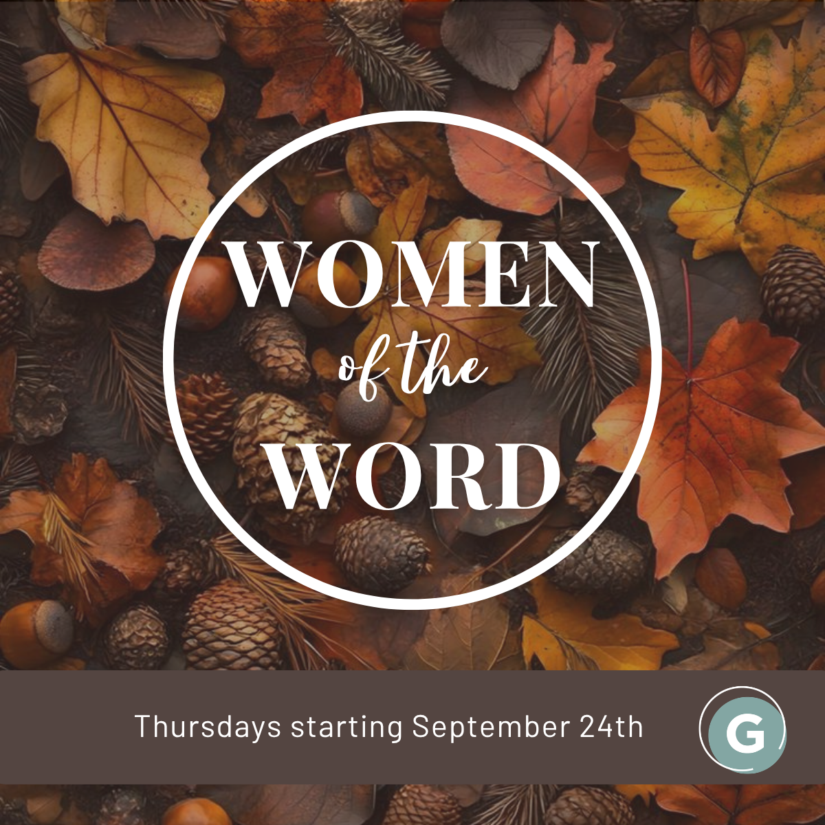 Women Of The Word