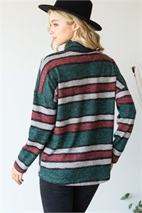green striped turtle nck2.jpeg