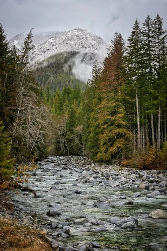 river with mountain background.jpg