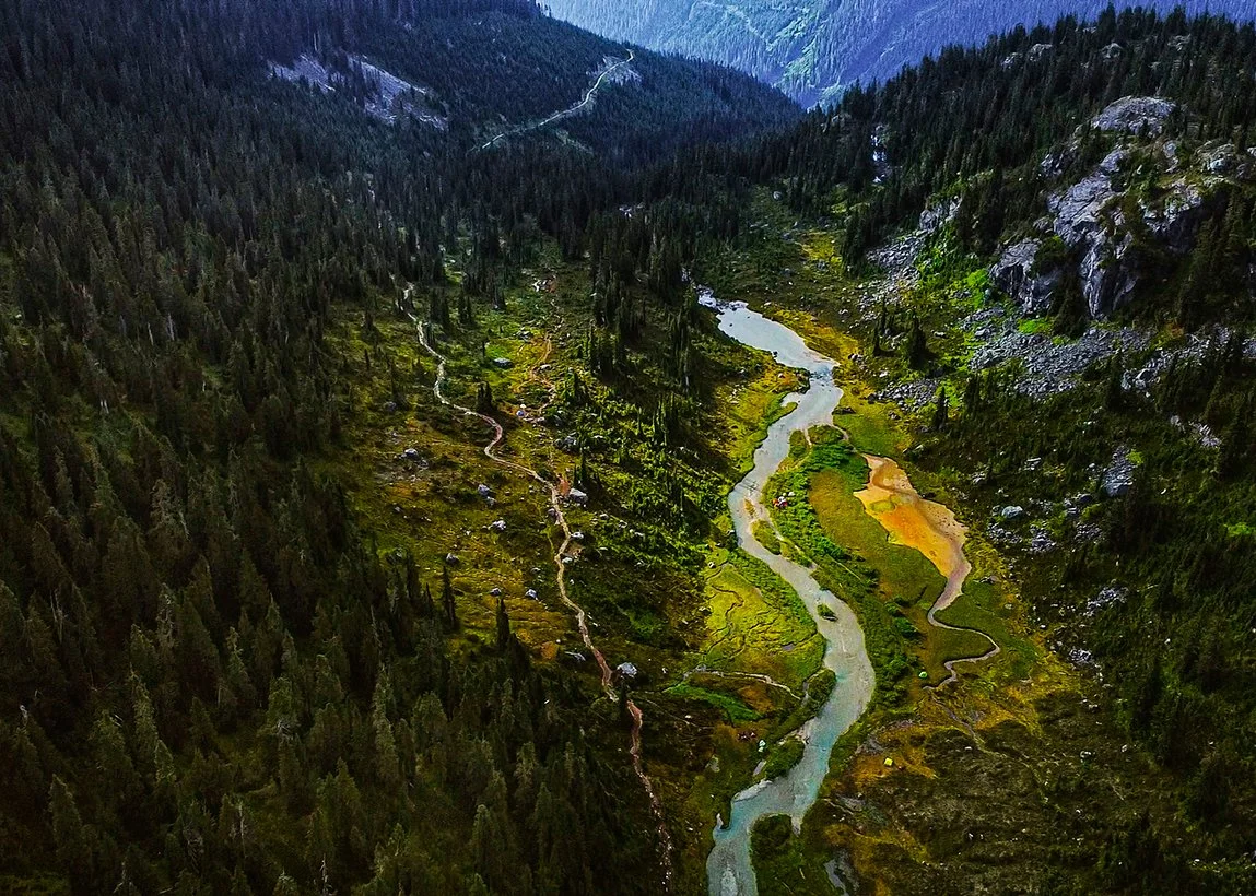 Untitled_4.10.1-01.jpg