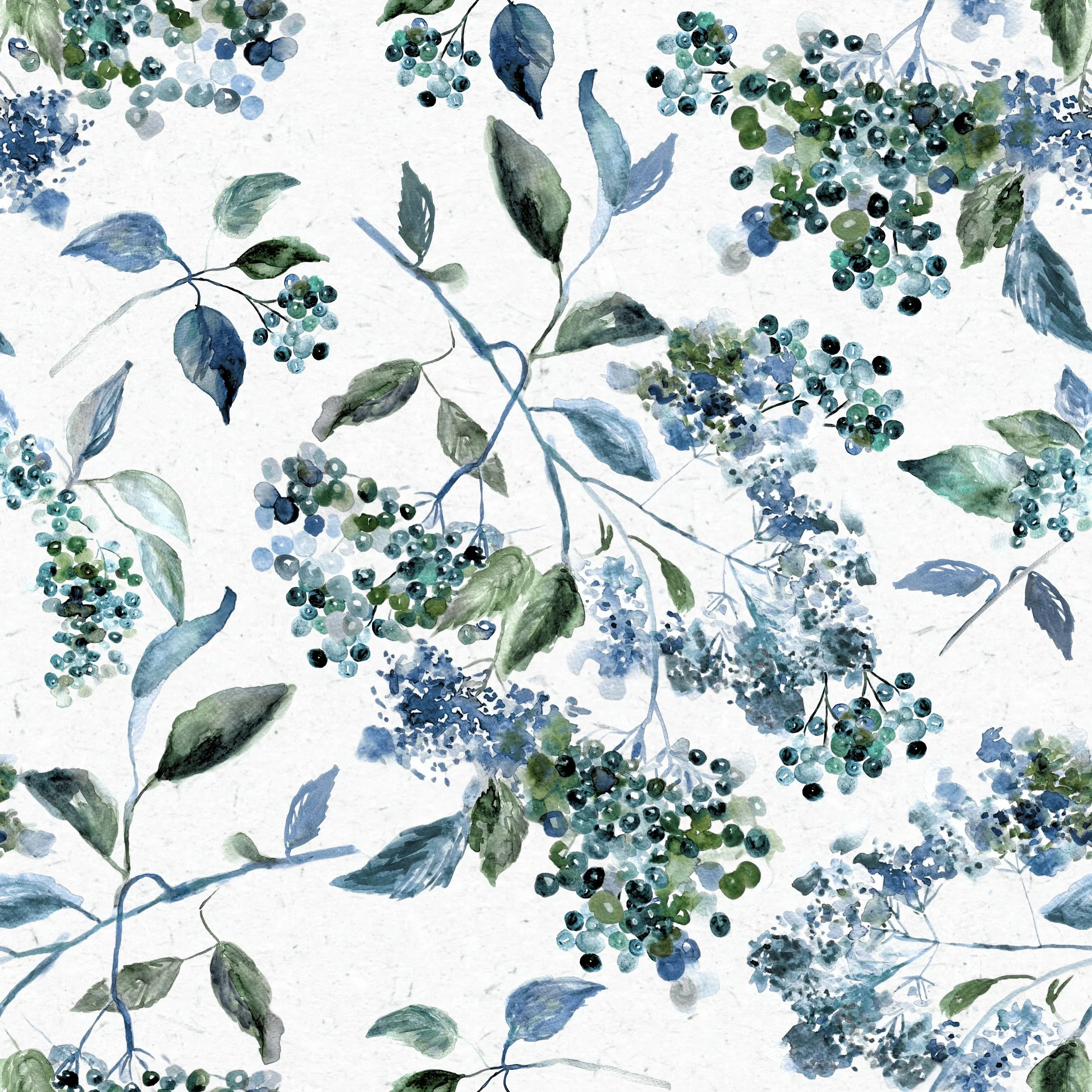 fixed teal blue elderberry.jpg