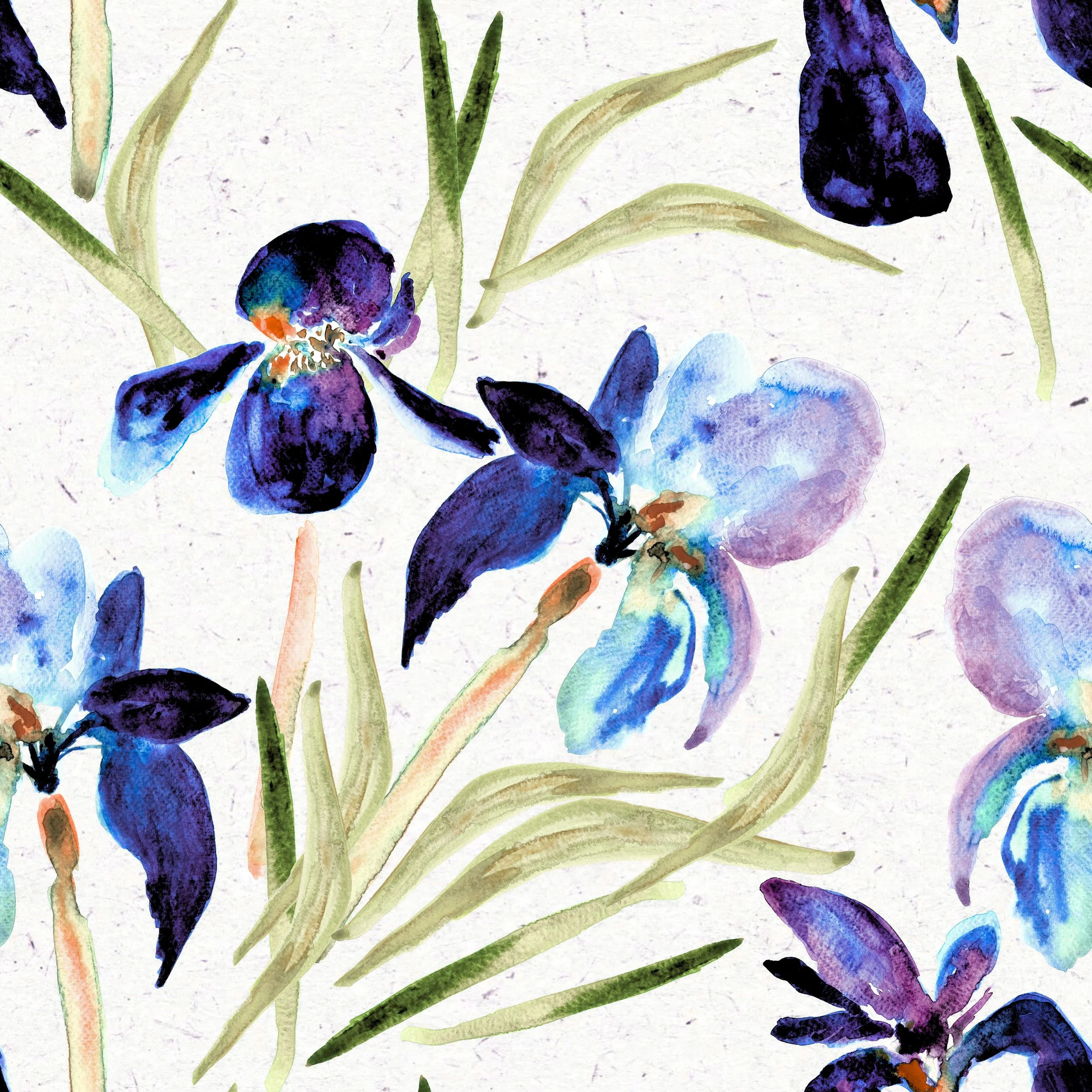 purple green iris.jpg