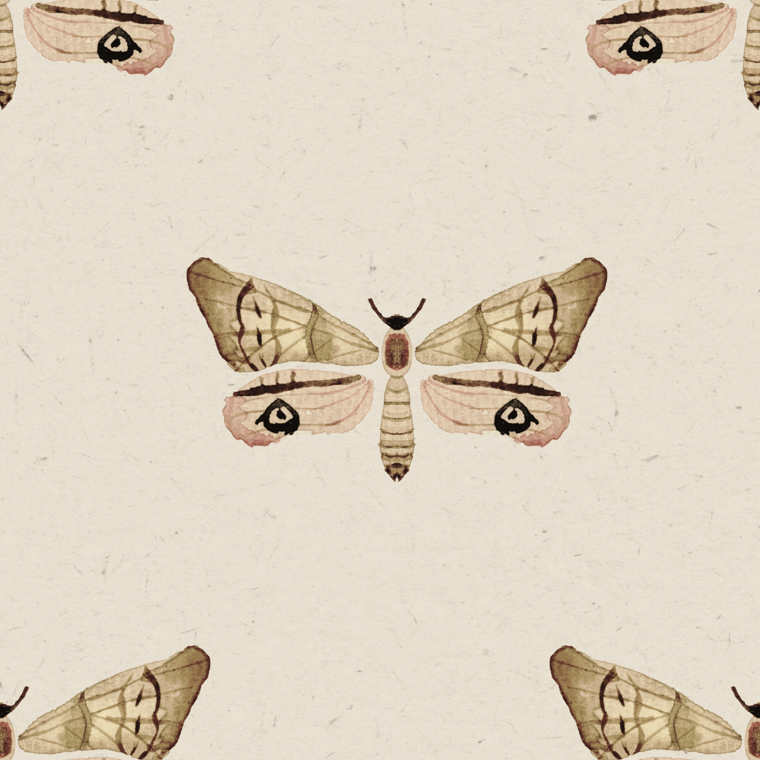 rvintage-moth-brown.png