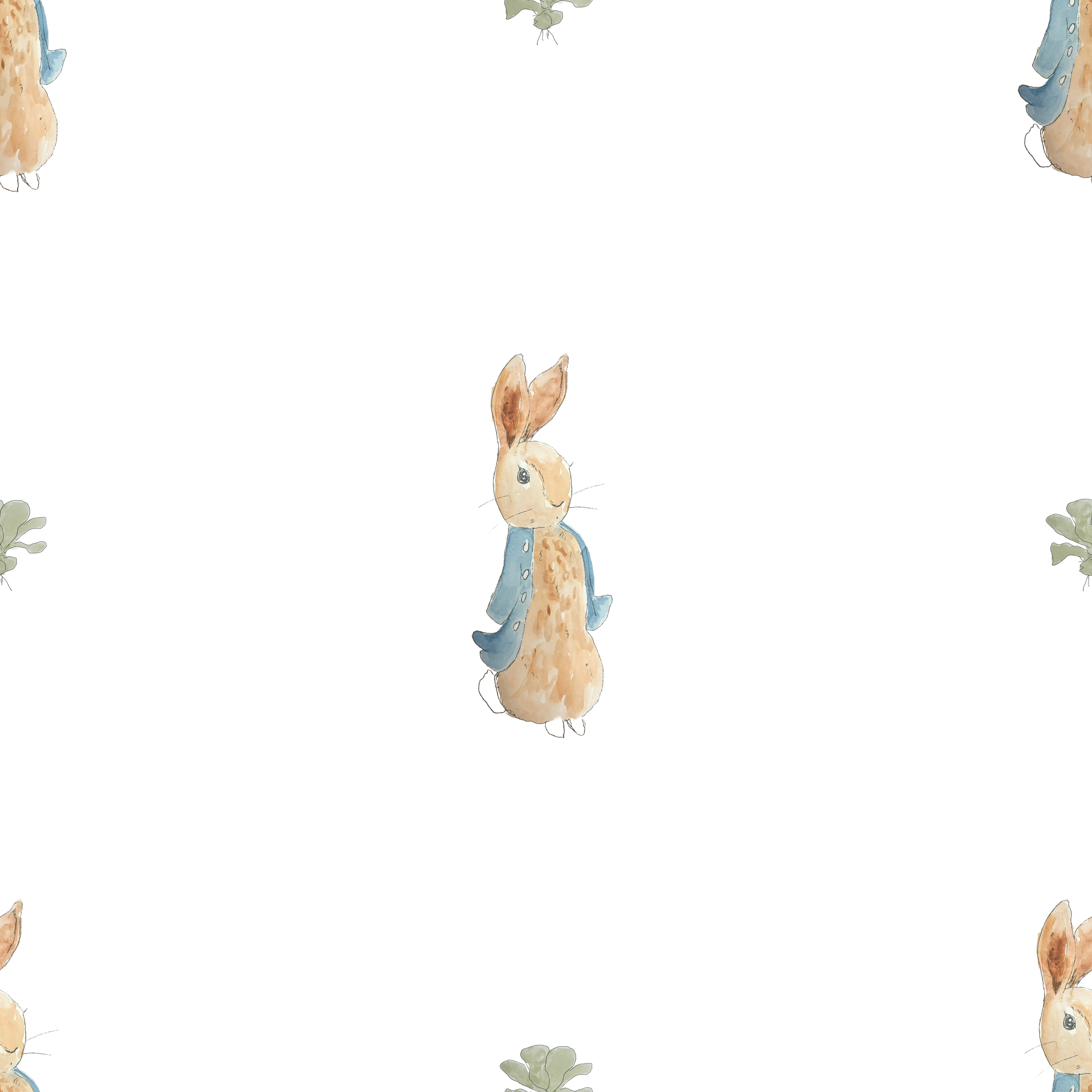 blue coat Peter rabbit -2.png