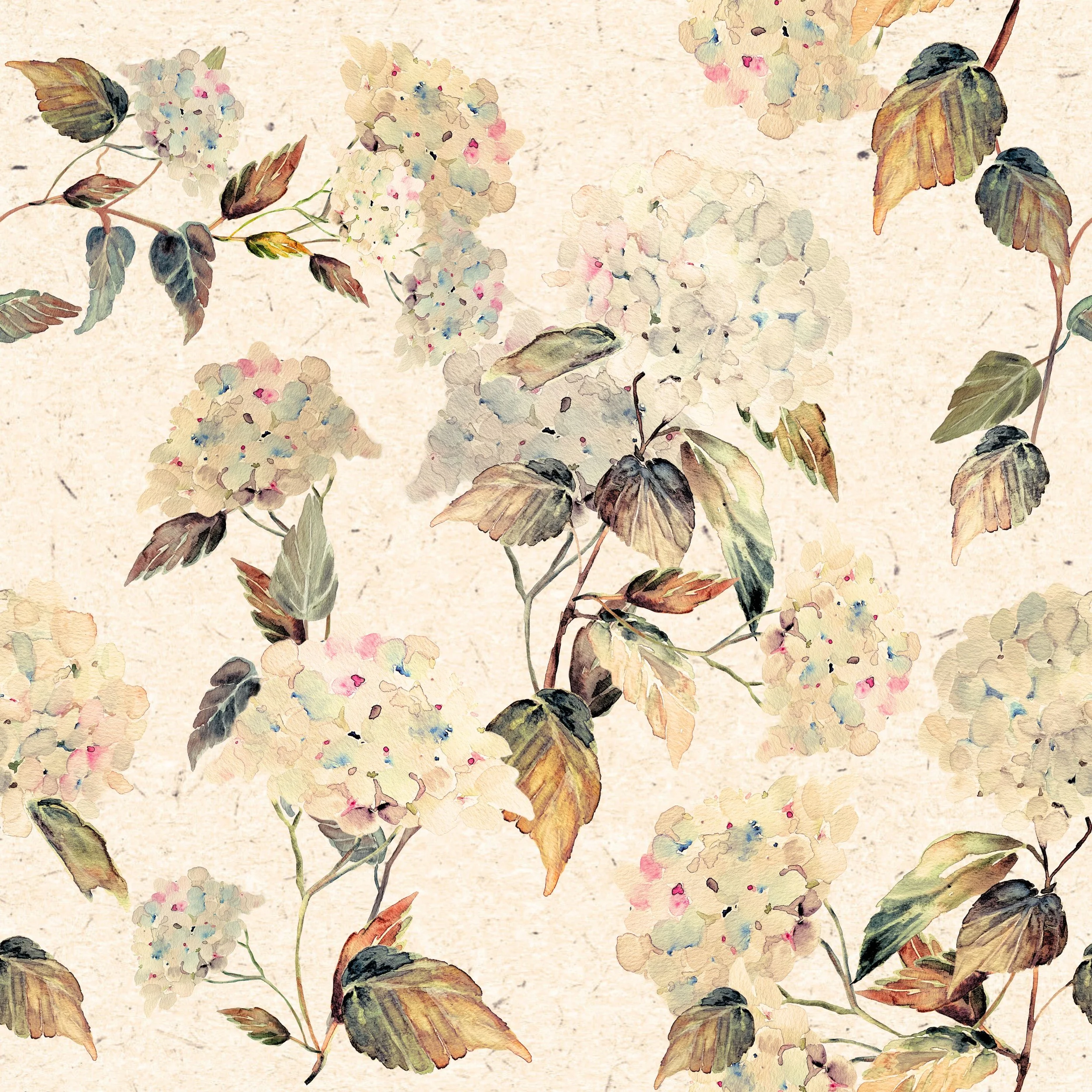 cream Hydrangea-2.jpg