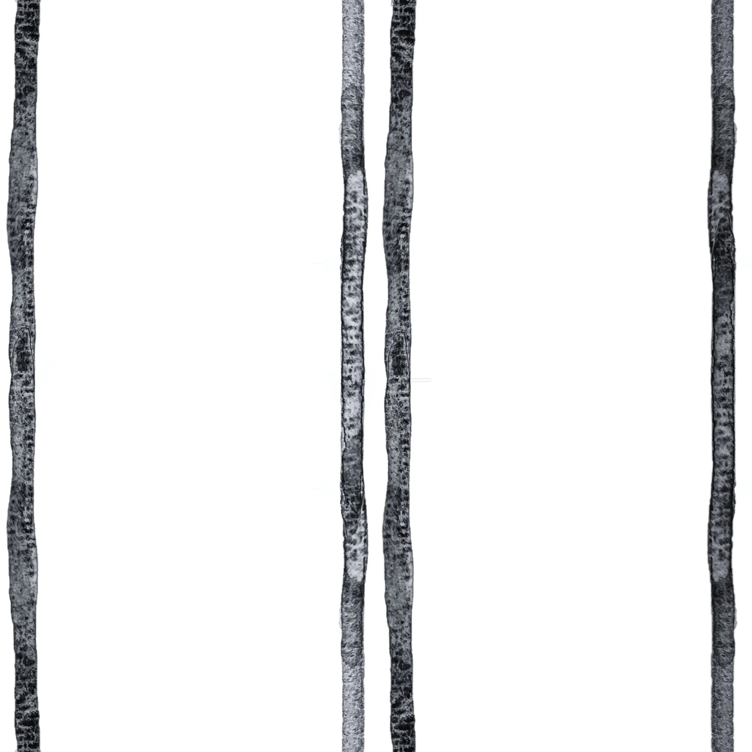 black double stripes.jpg