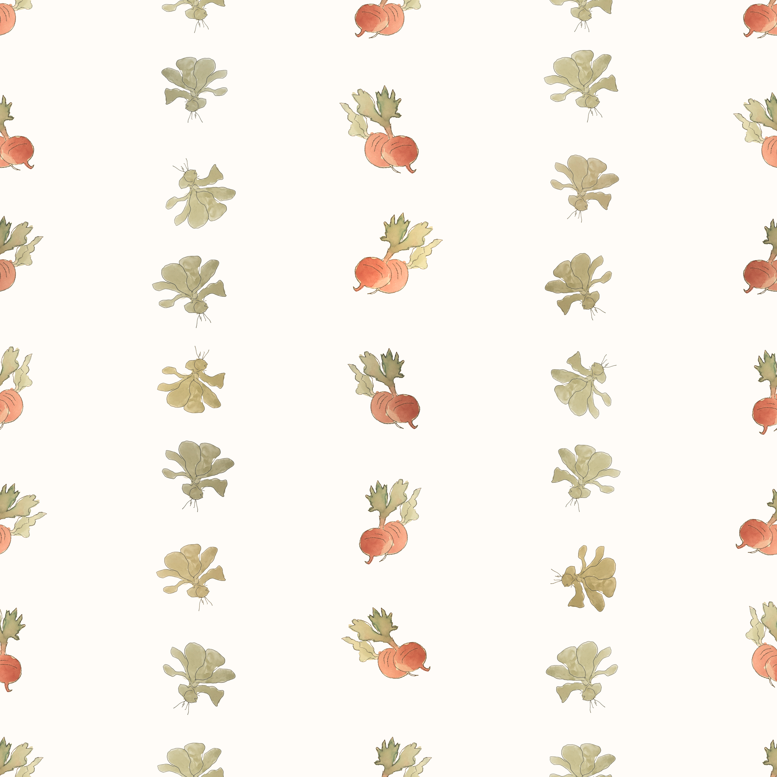 radish cabbage300.png