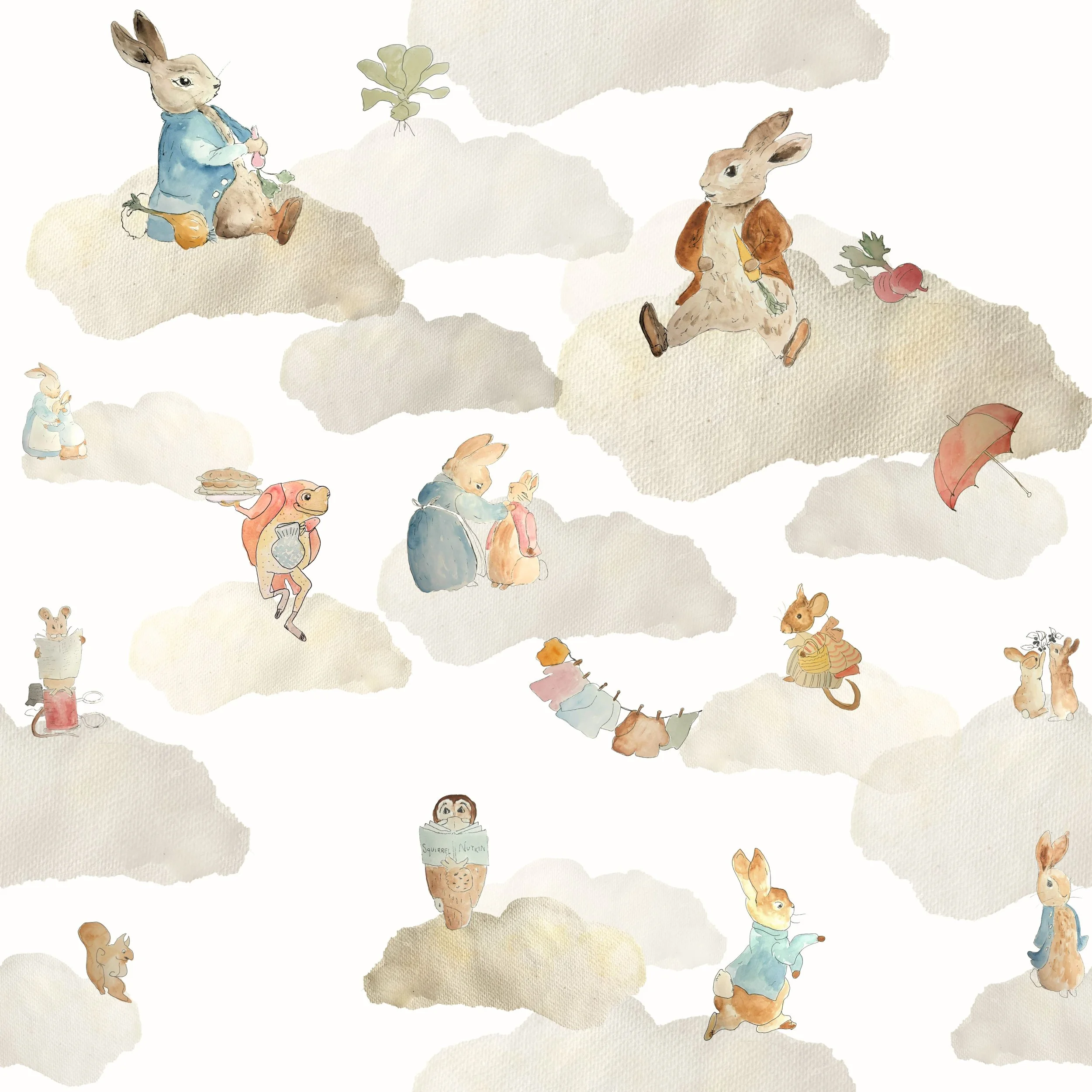 NEW Peter Rabbit Cloud 9 .jpg