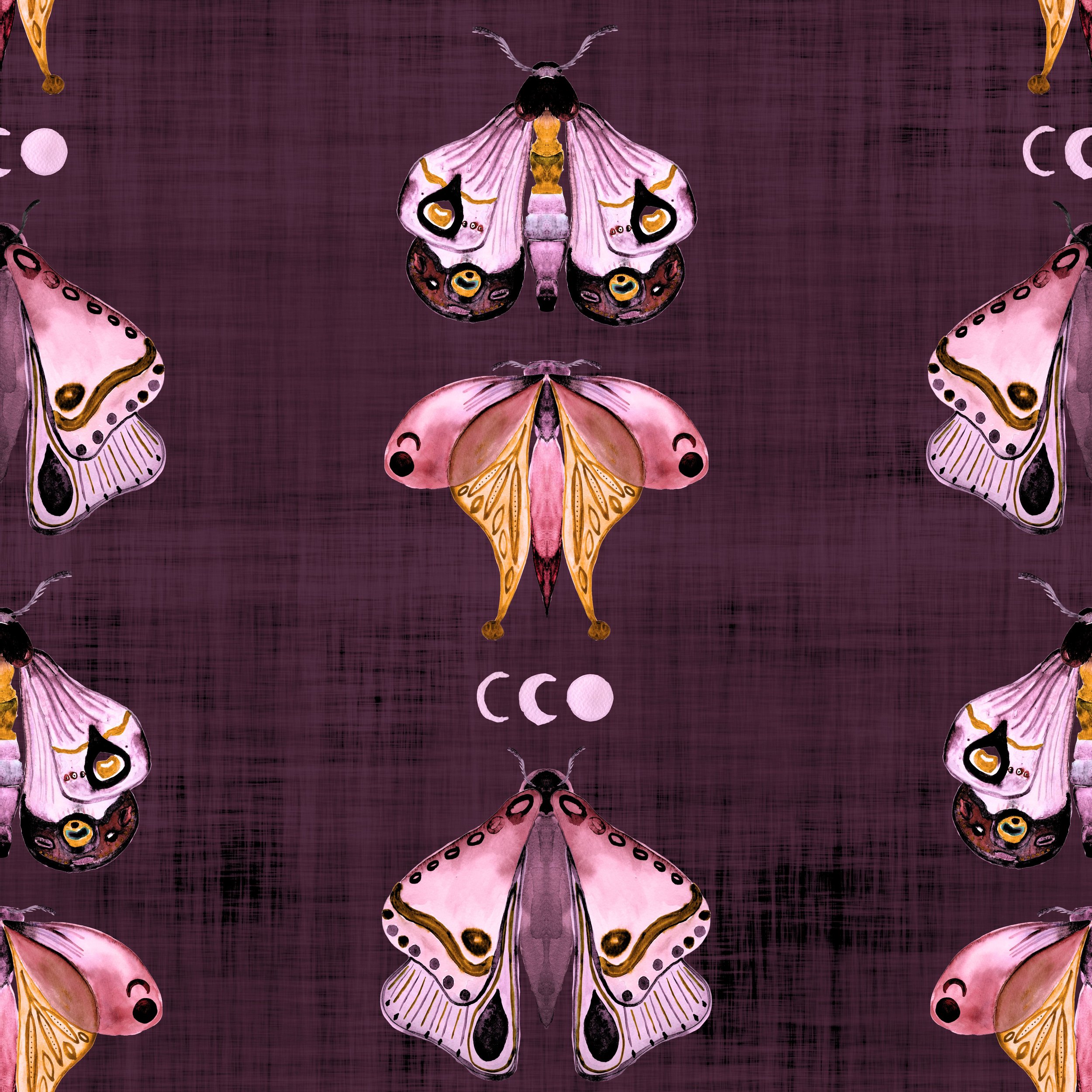 fixed burgundy pink orange moth.jpg