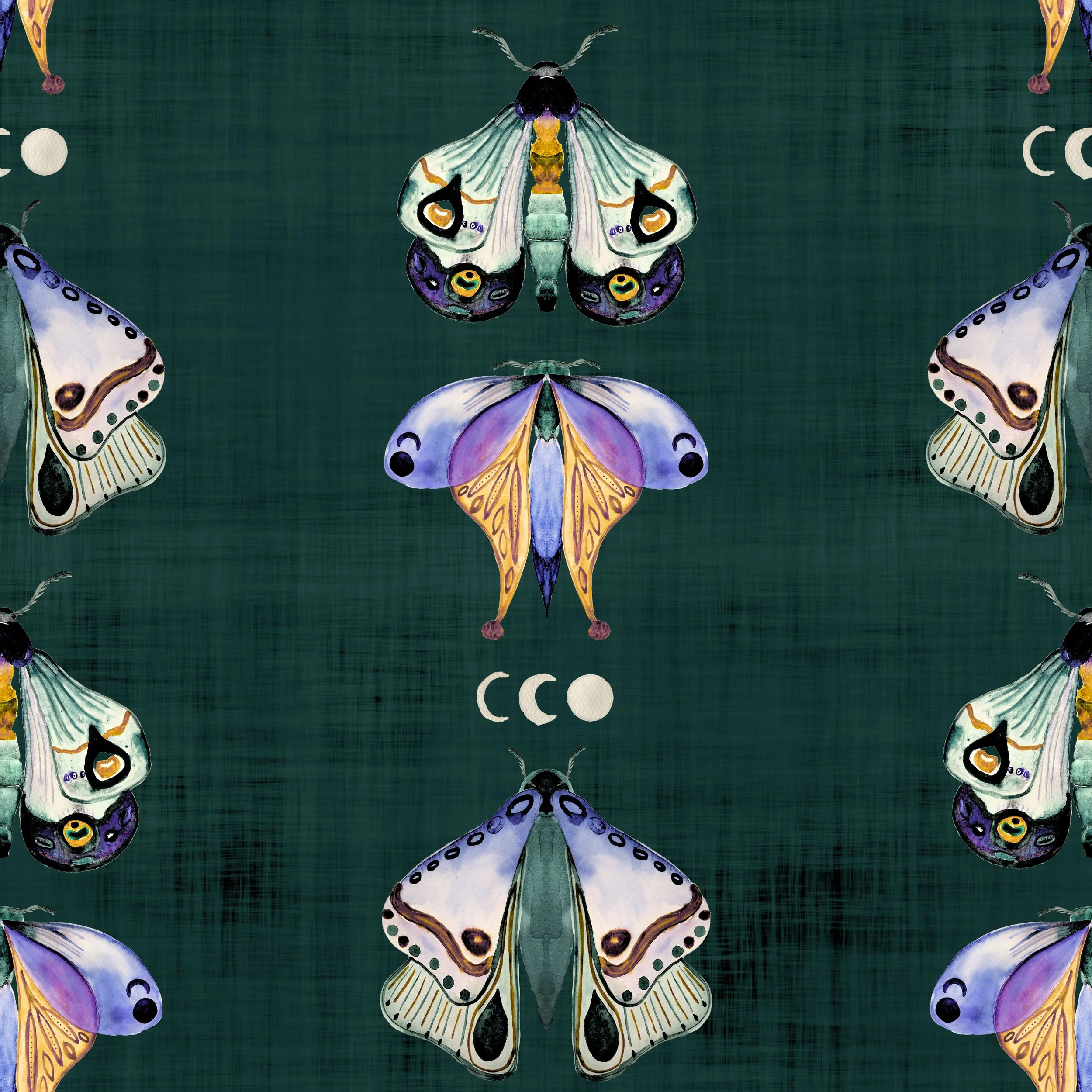 fixed  periwinkle green purple moth.jpg
