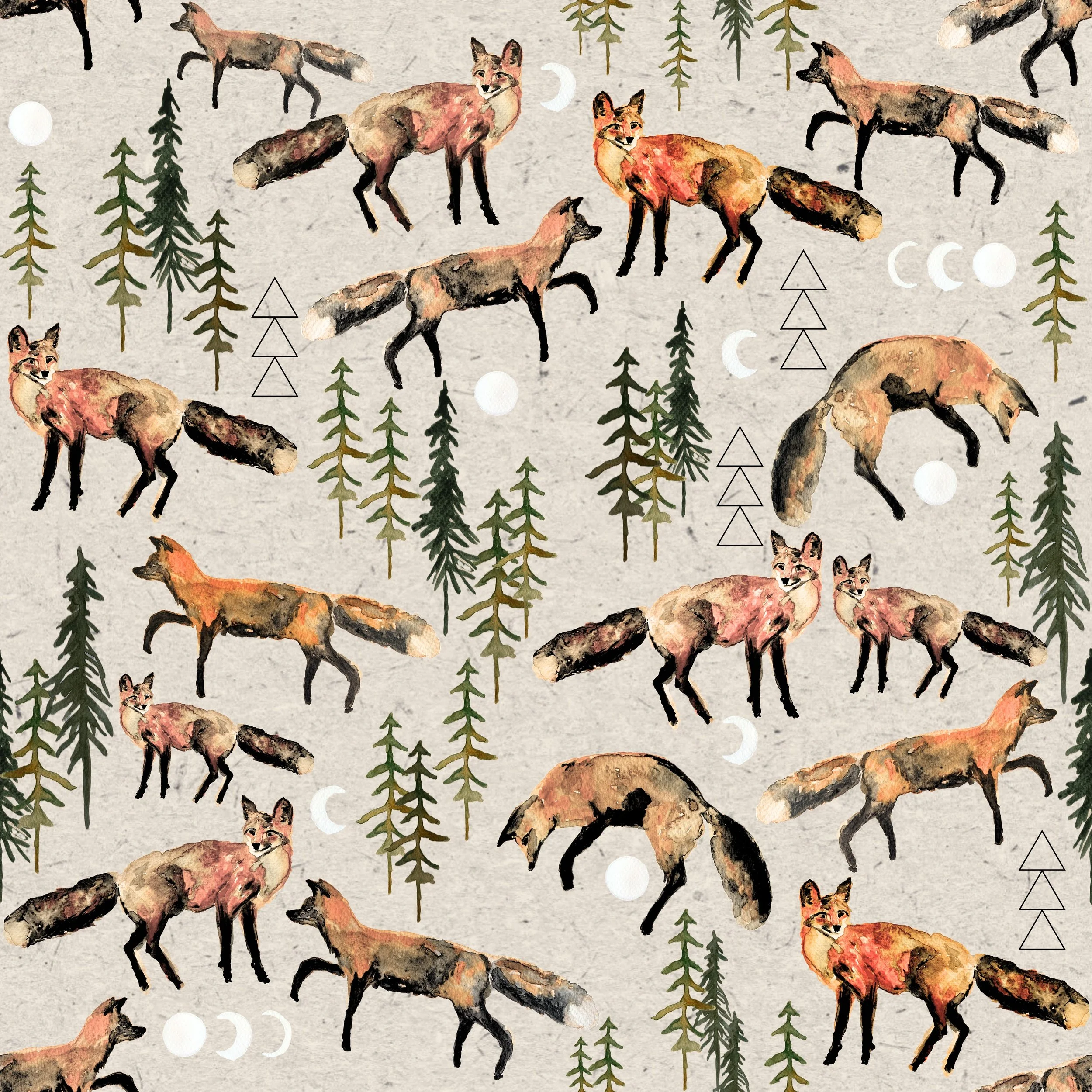 moons and foxes.jpg