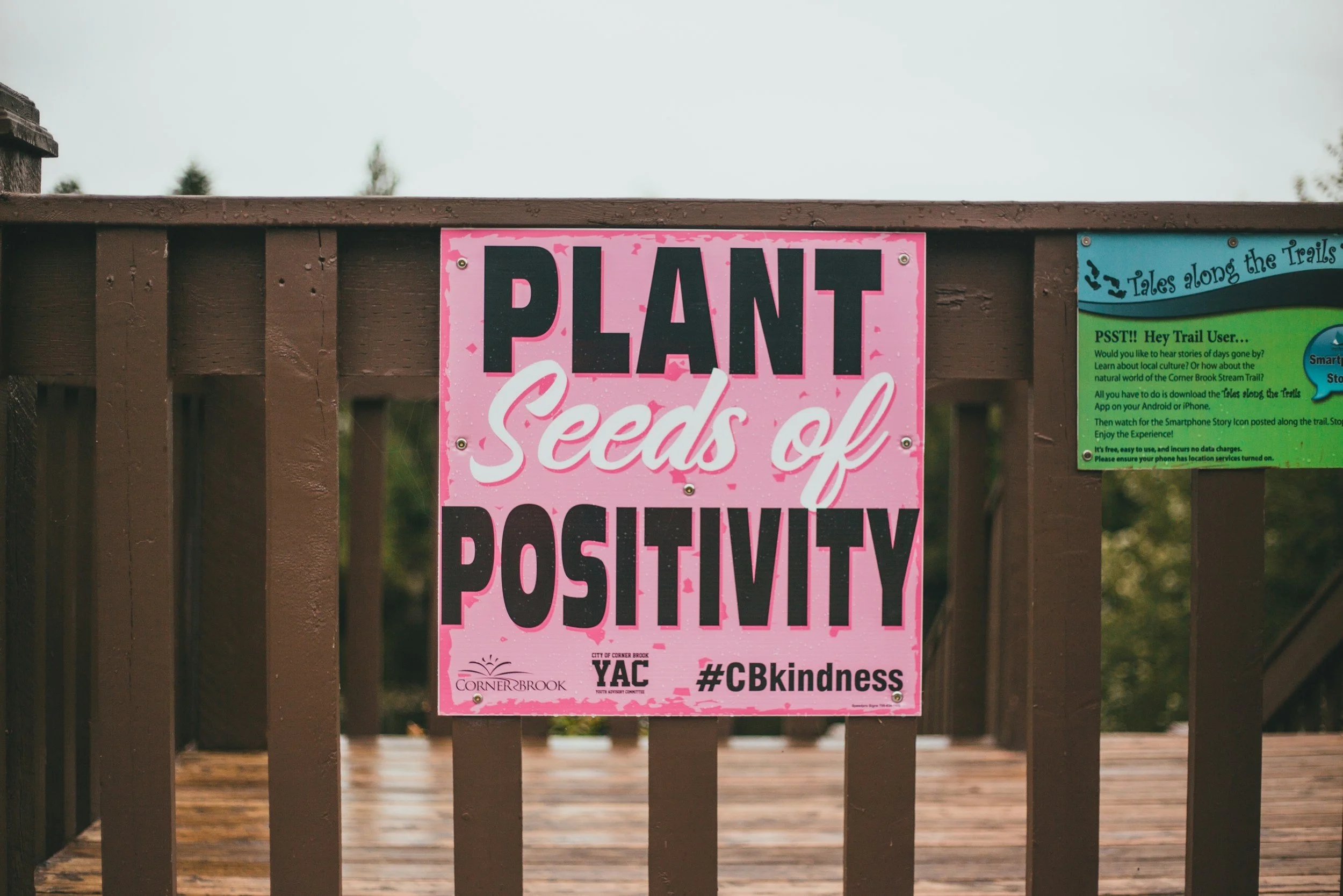 A pink sign on a brown wooden fence encouraging planting seeds of positivity, with some smaller informational and promotional signs nearby.