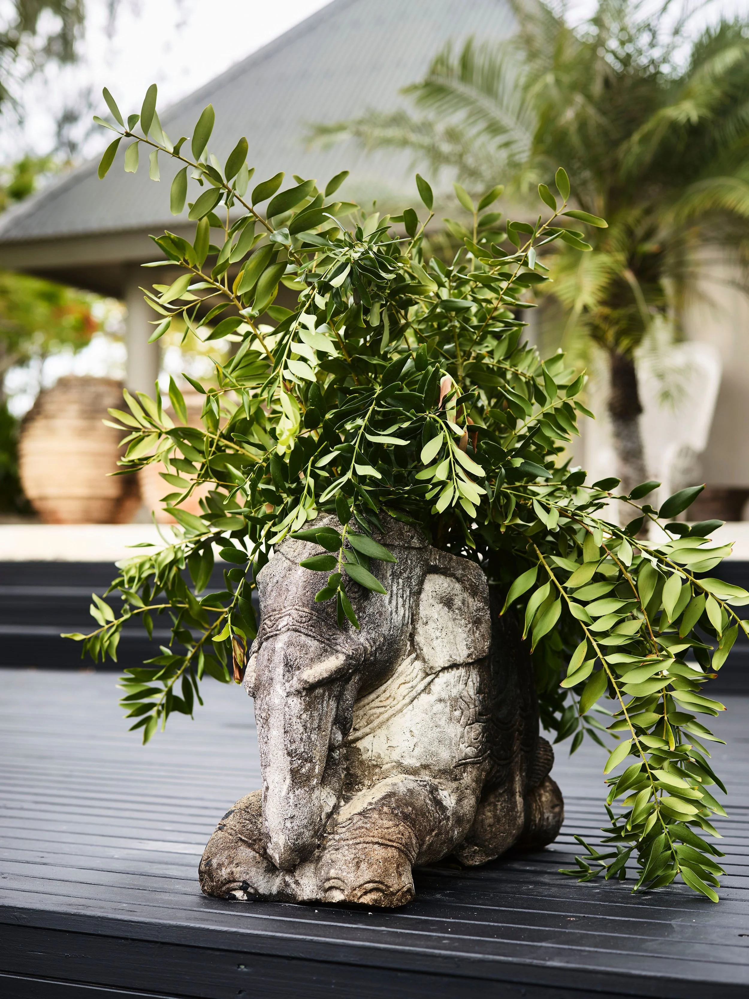 Elephant Statue.jpeg