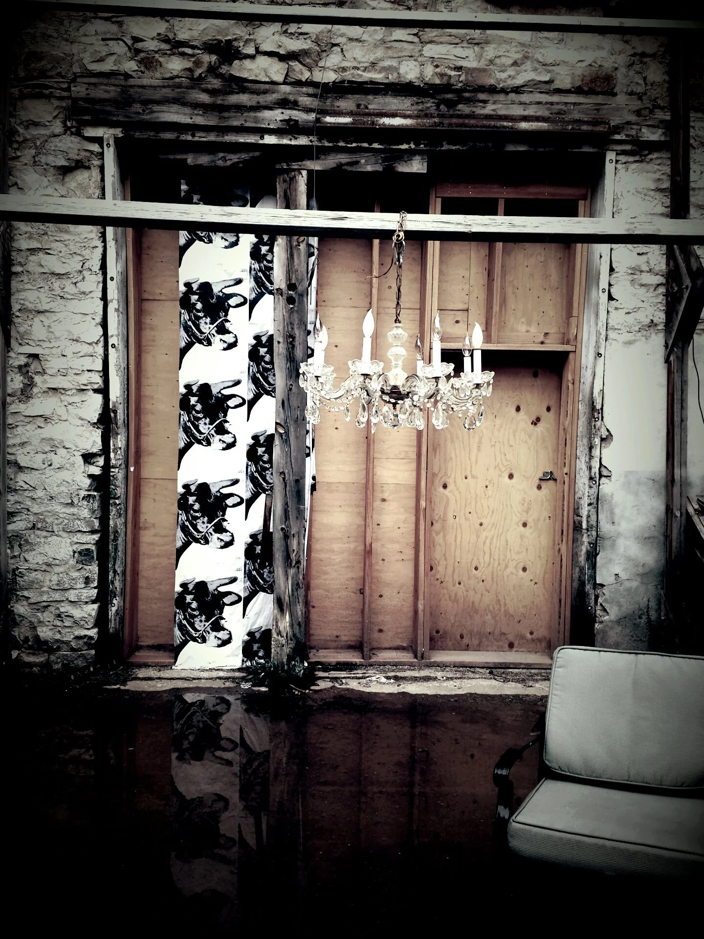 Preliminary Management  Plan