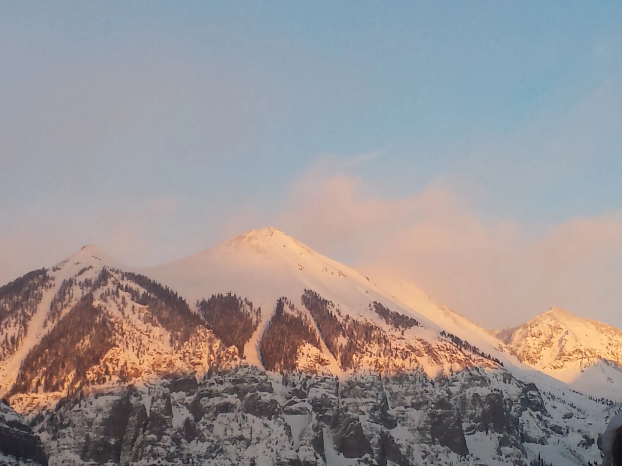 Potential Board Members