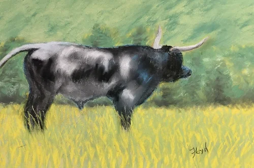 La Cocina de Luz (15)