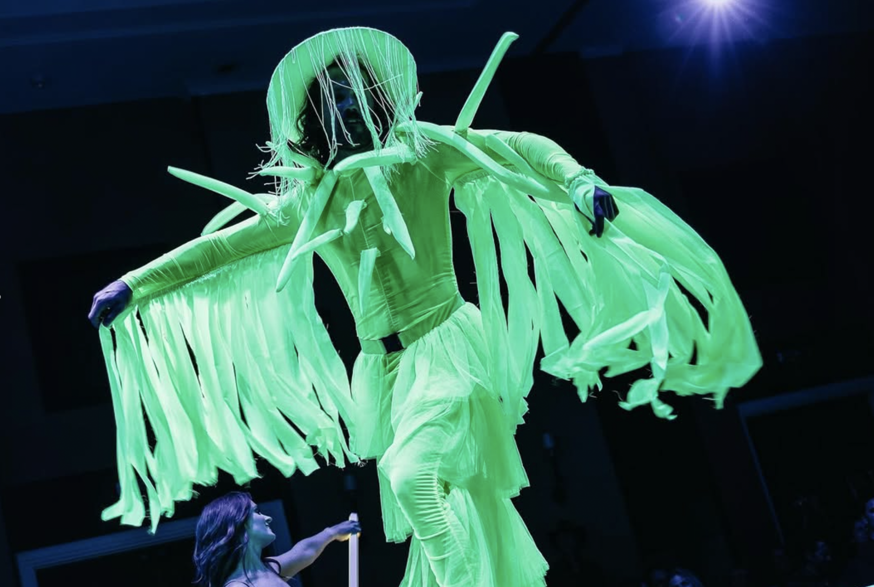 Ah Haa School for the Arts