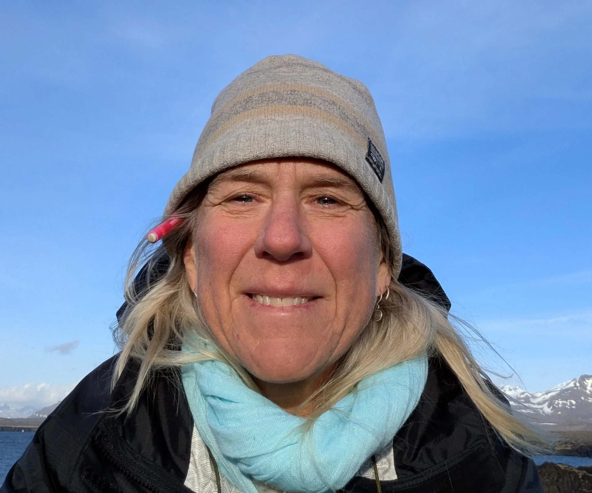 bio Metrick iceland.jpg