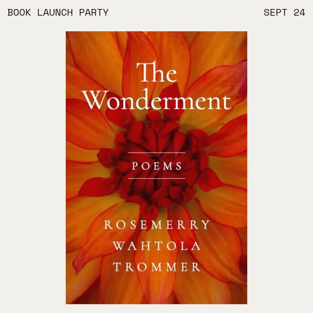 Celebrating The Wonderment