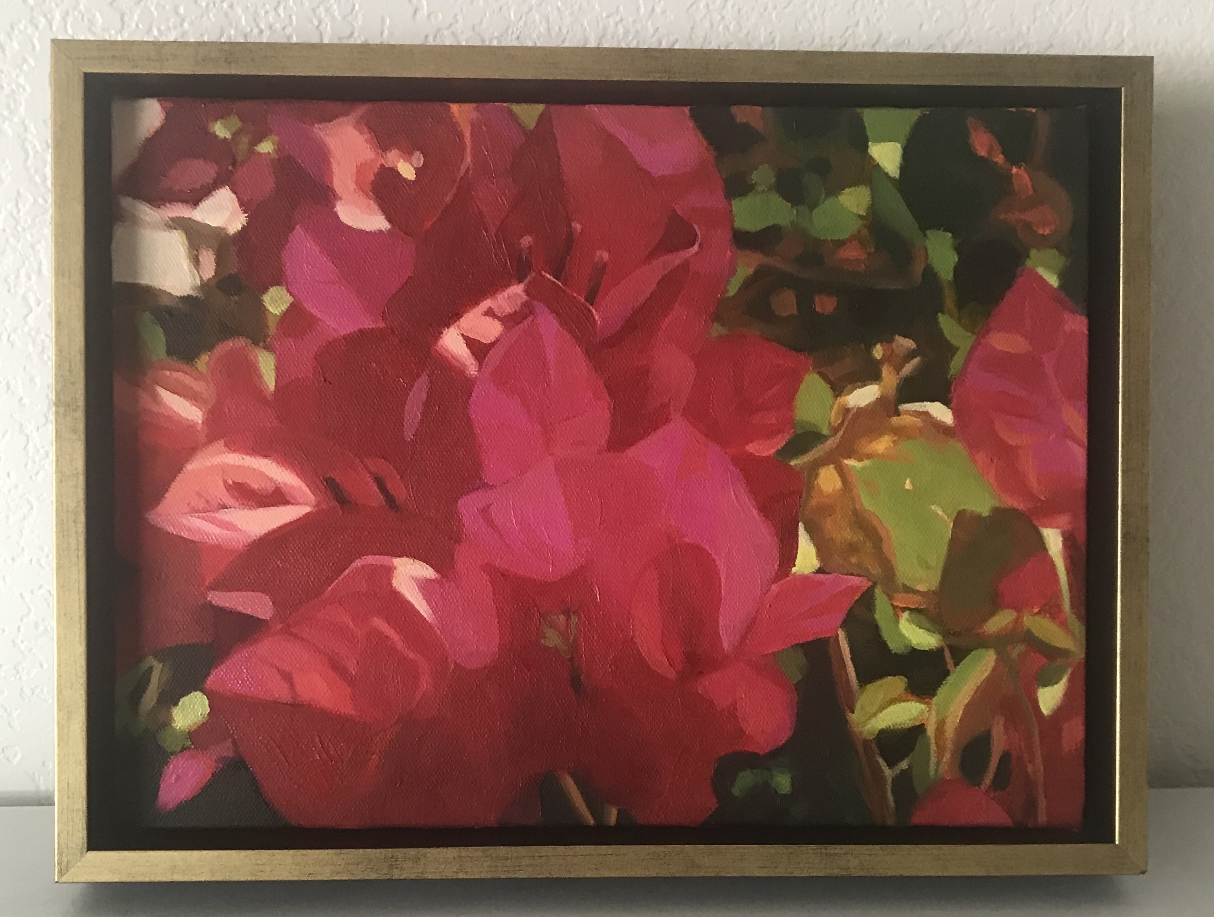 Karen Kokjer: Bougainvillea