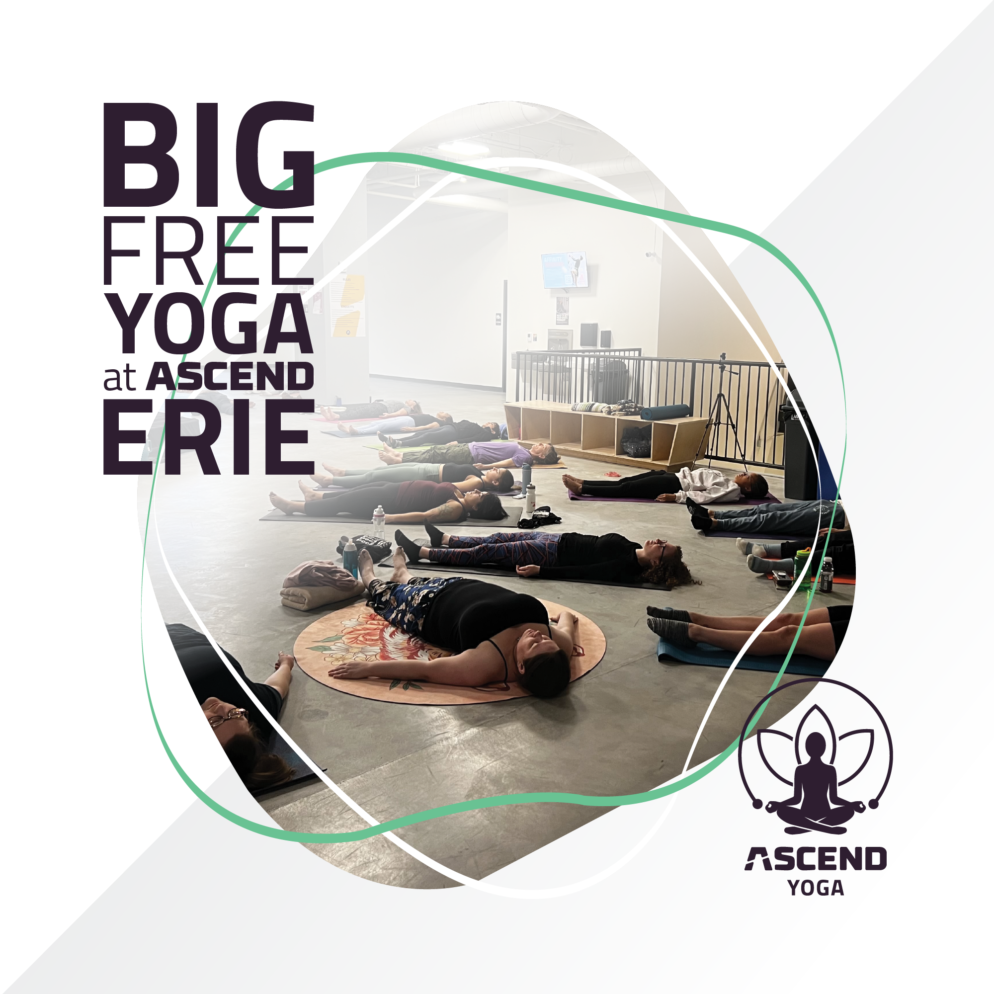 BFY Erie - SQUARE.png