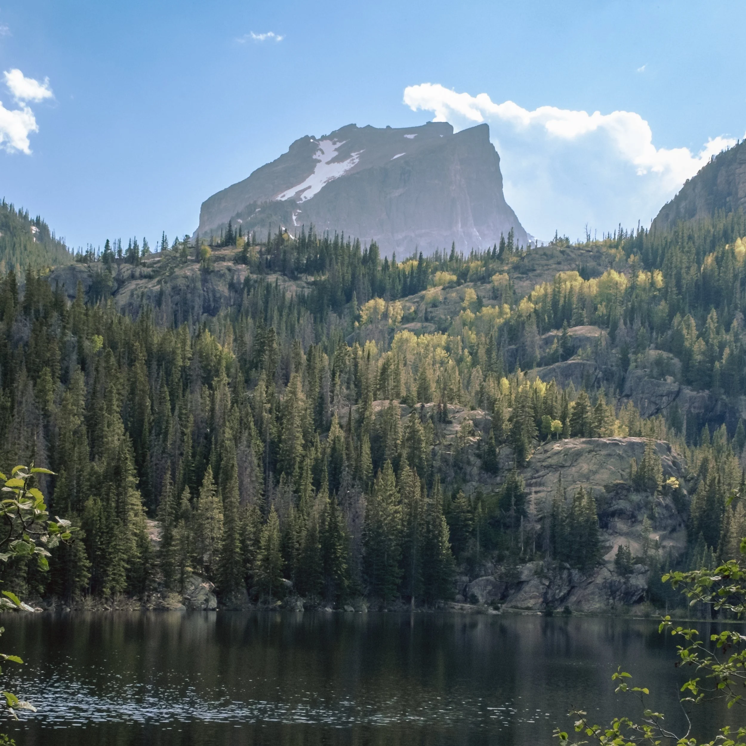 LANDSCAPES & NATURE