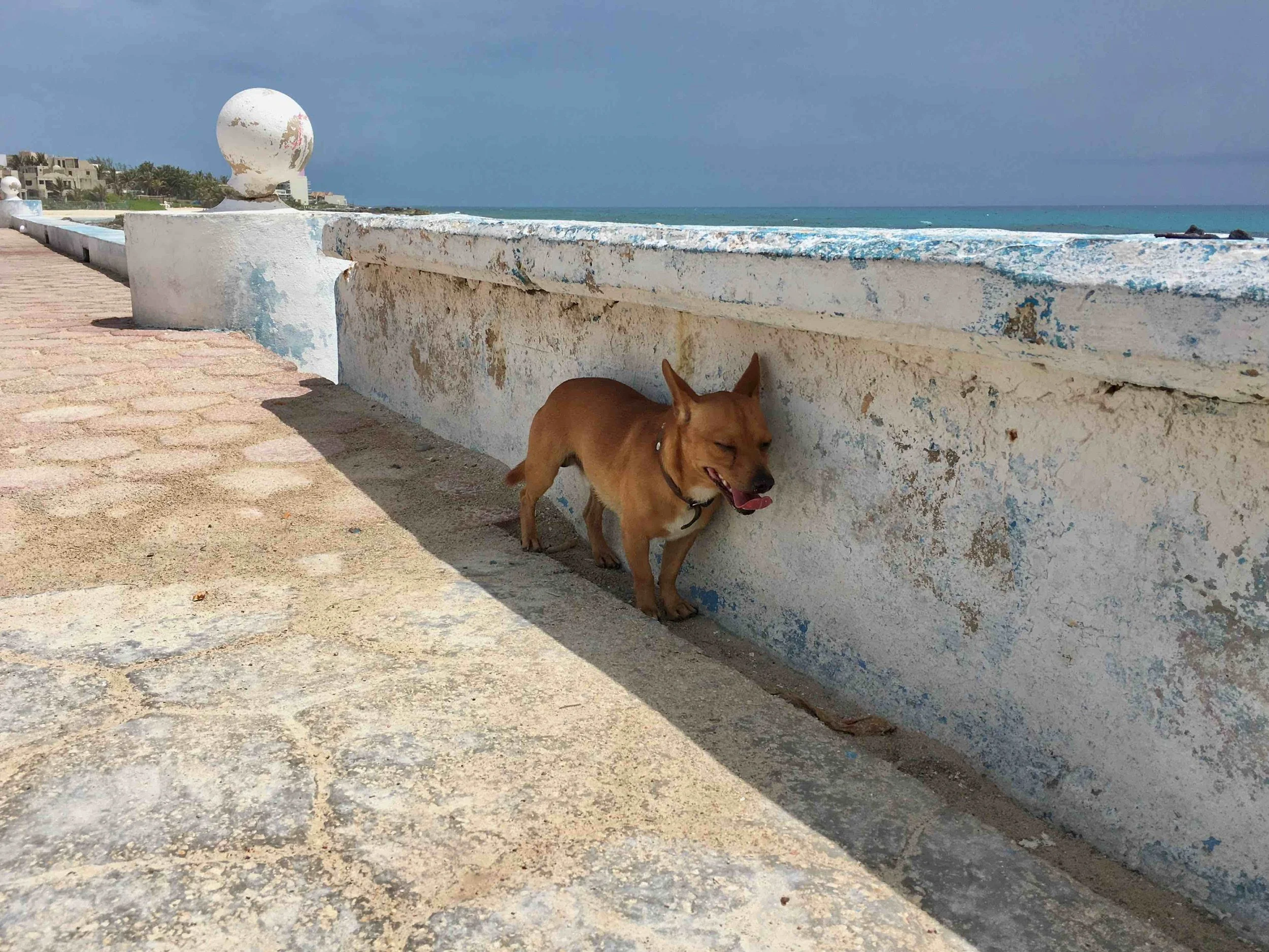 Shelter, Waiting | Isla Mujeres, Mexico