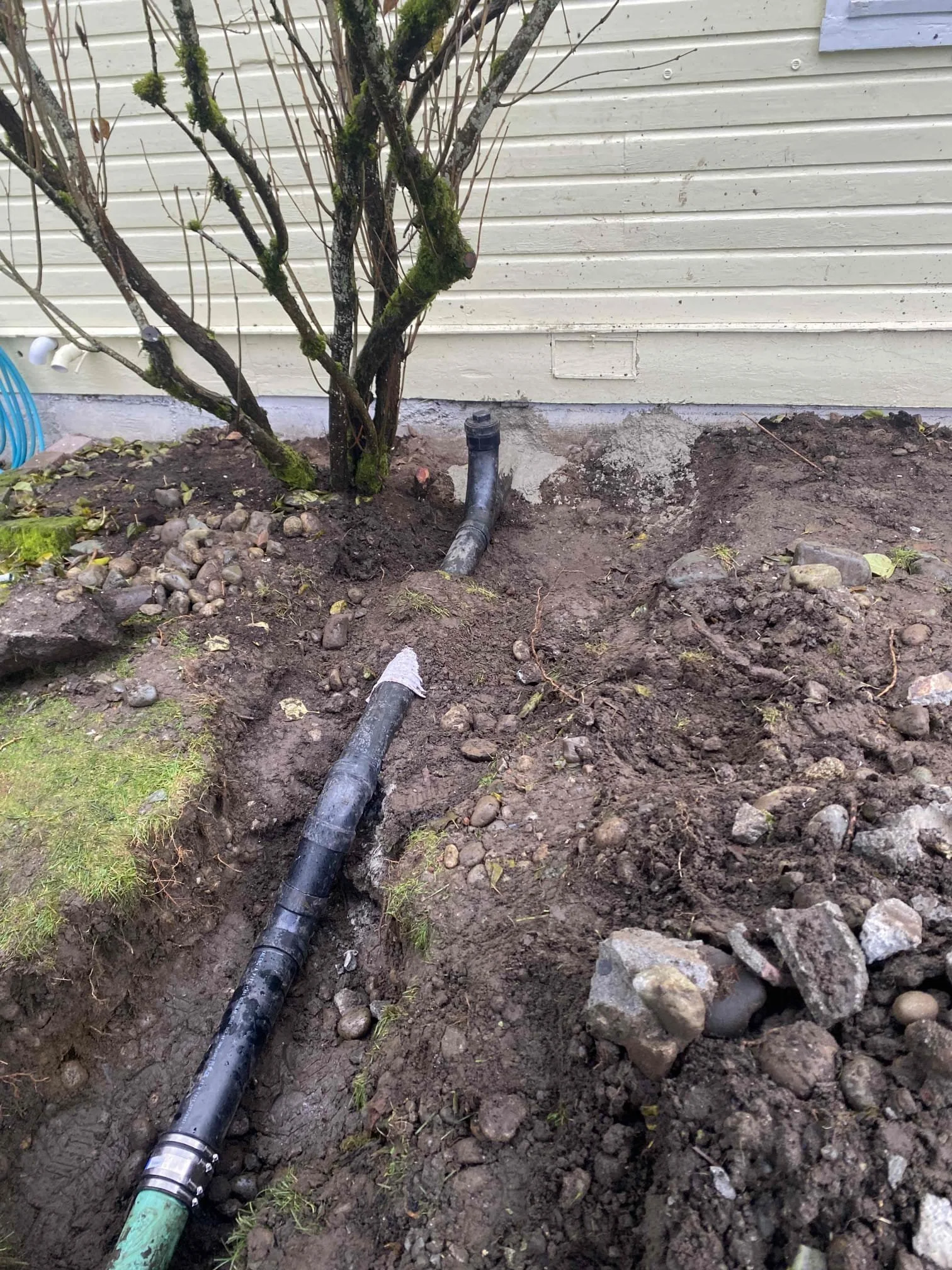 Sewer Line Repair
