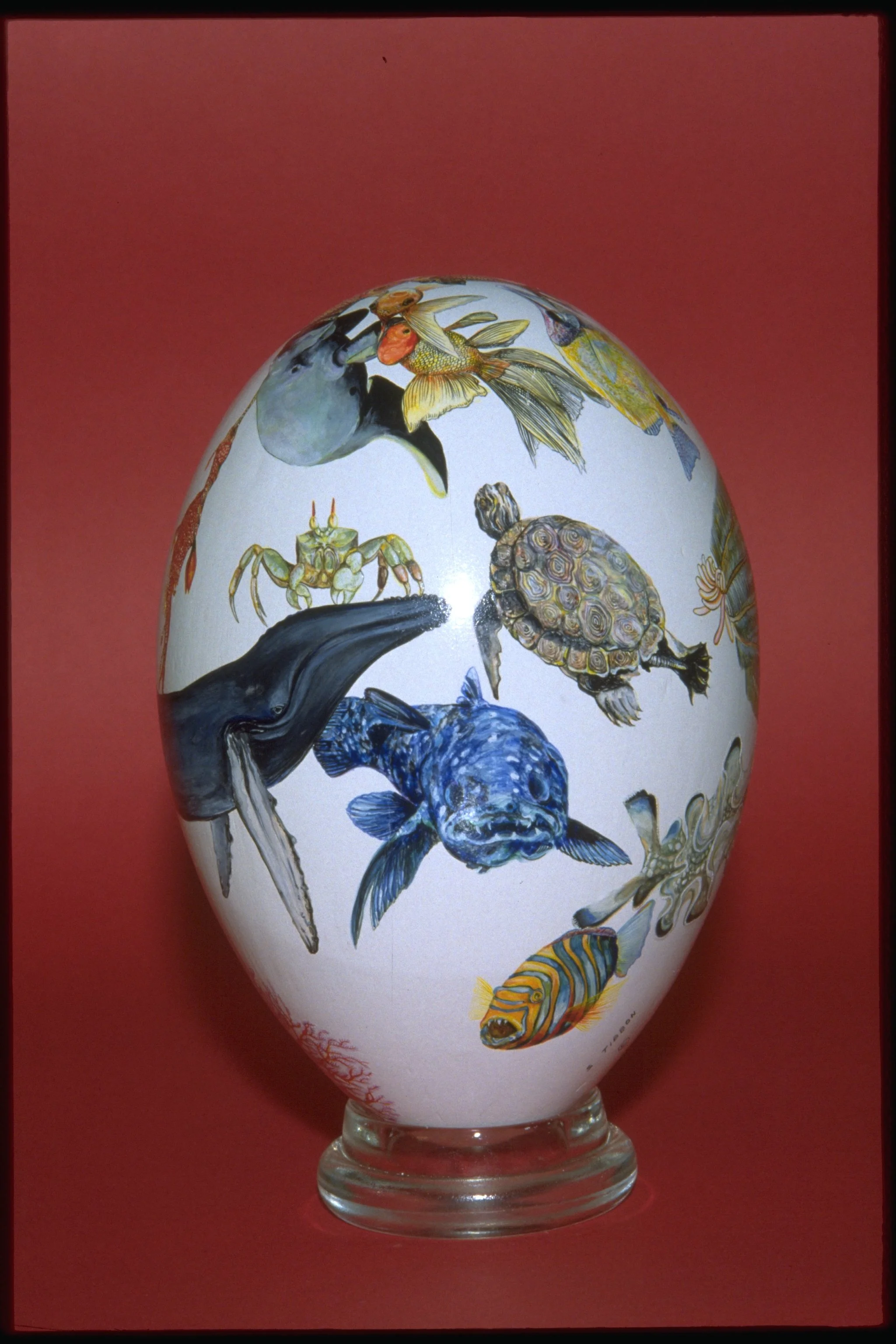 MARINE LIFE - Side 2