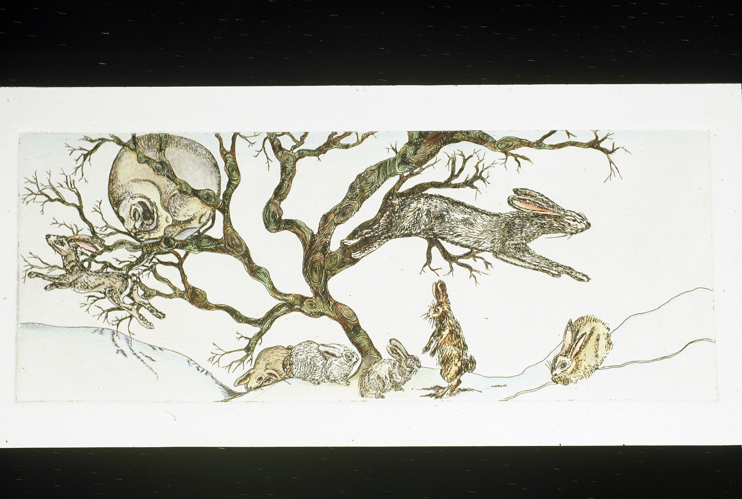 MOON RABBIT - 