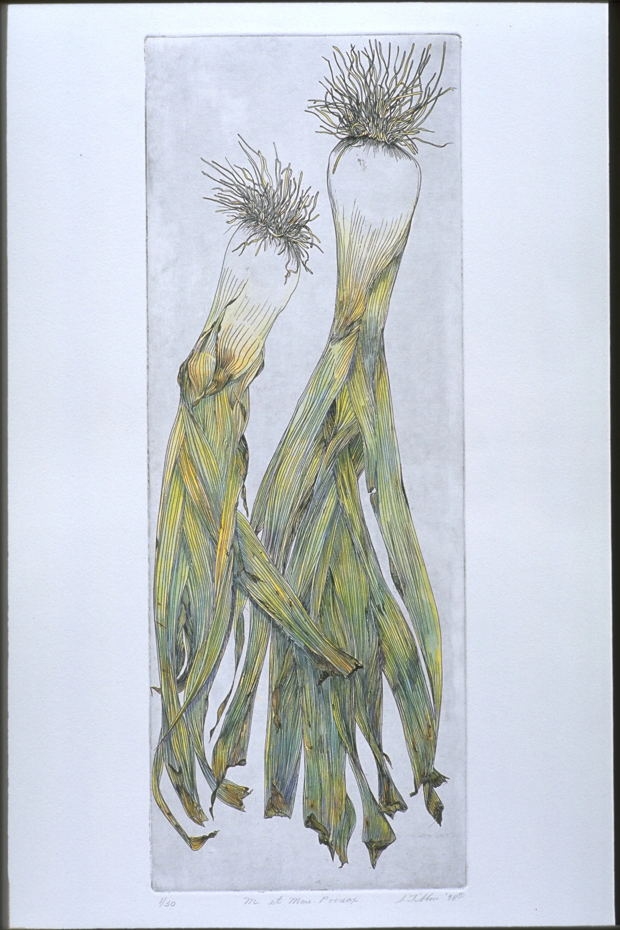 L is for - LEEKS - Intaglio and Watercolor - 9"X24" - (Or as Susan calls them "Mr. and MRS. Piroux"). Two lovely alliums, loaded with personality!