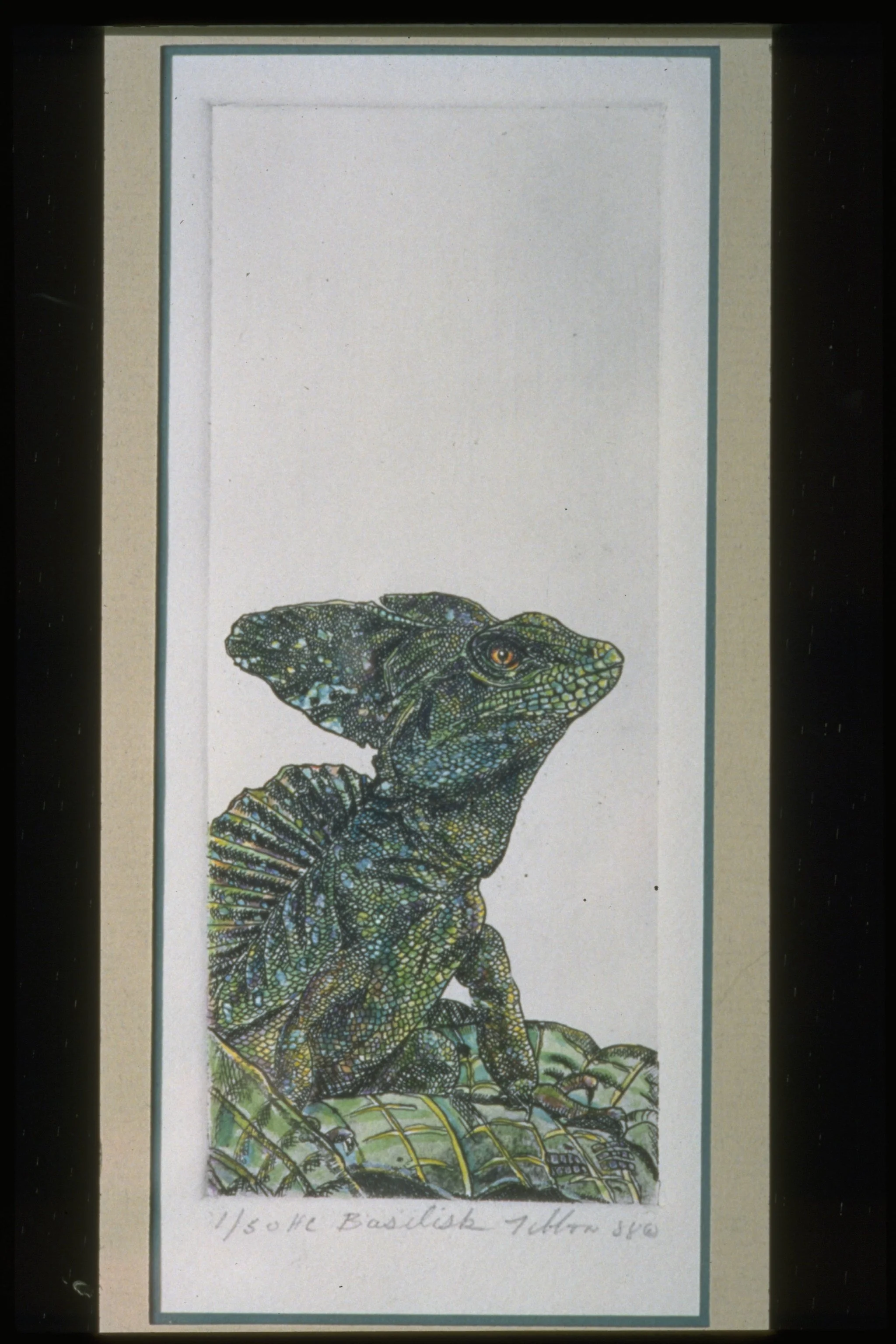 BASILISK LIZARD - Intaglio and Watercolor - 9"X24" - Basilisk is the first of many studies of a favorite species.