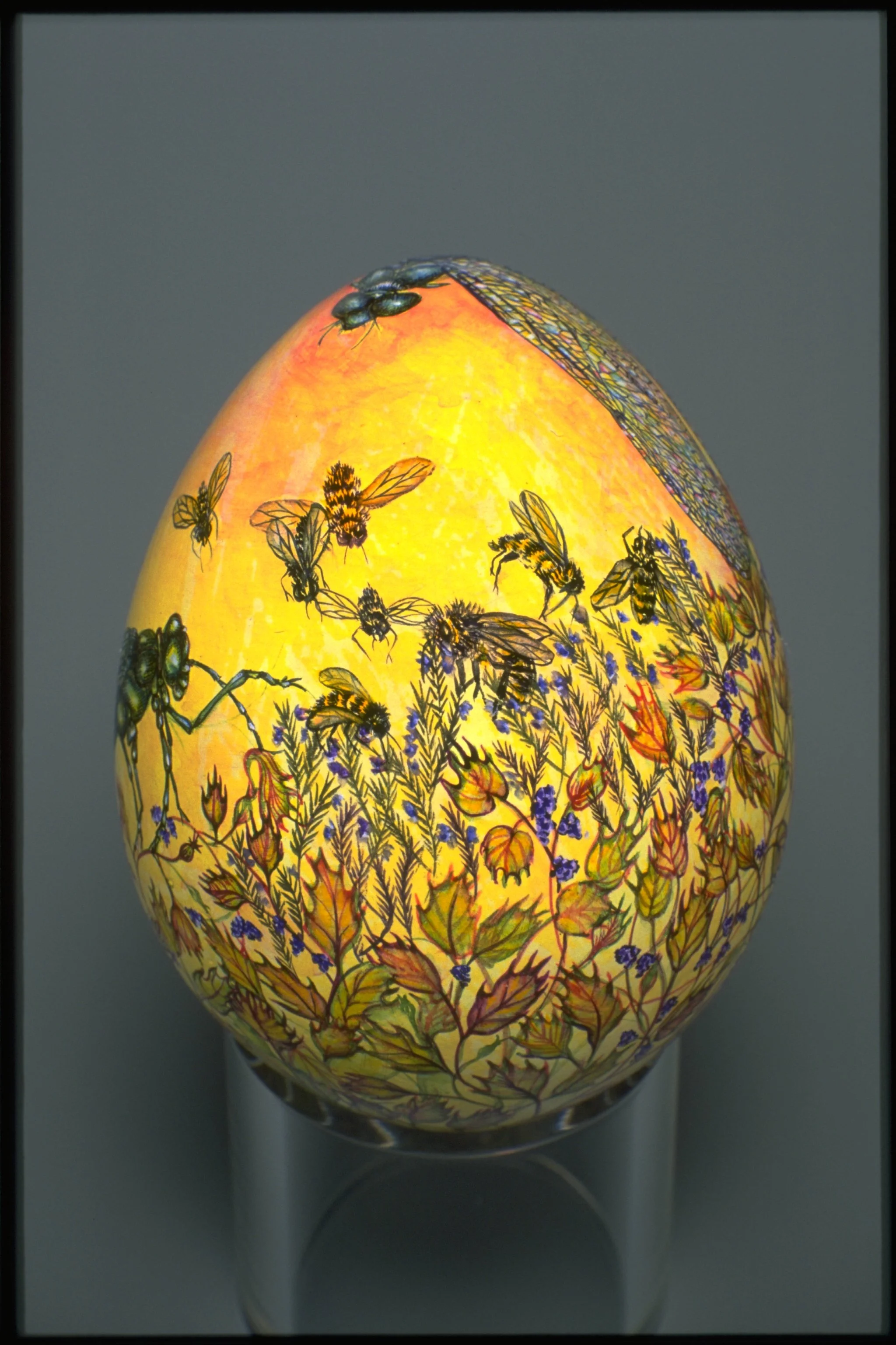 DRAGONFLY'S GARDEN - Side 3