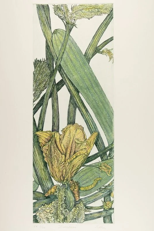 Z is for - ZUCCHINI - Intaglio and watercolor
9"X24" - 